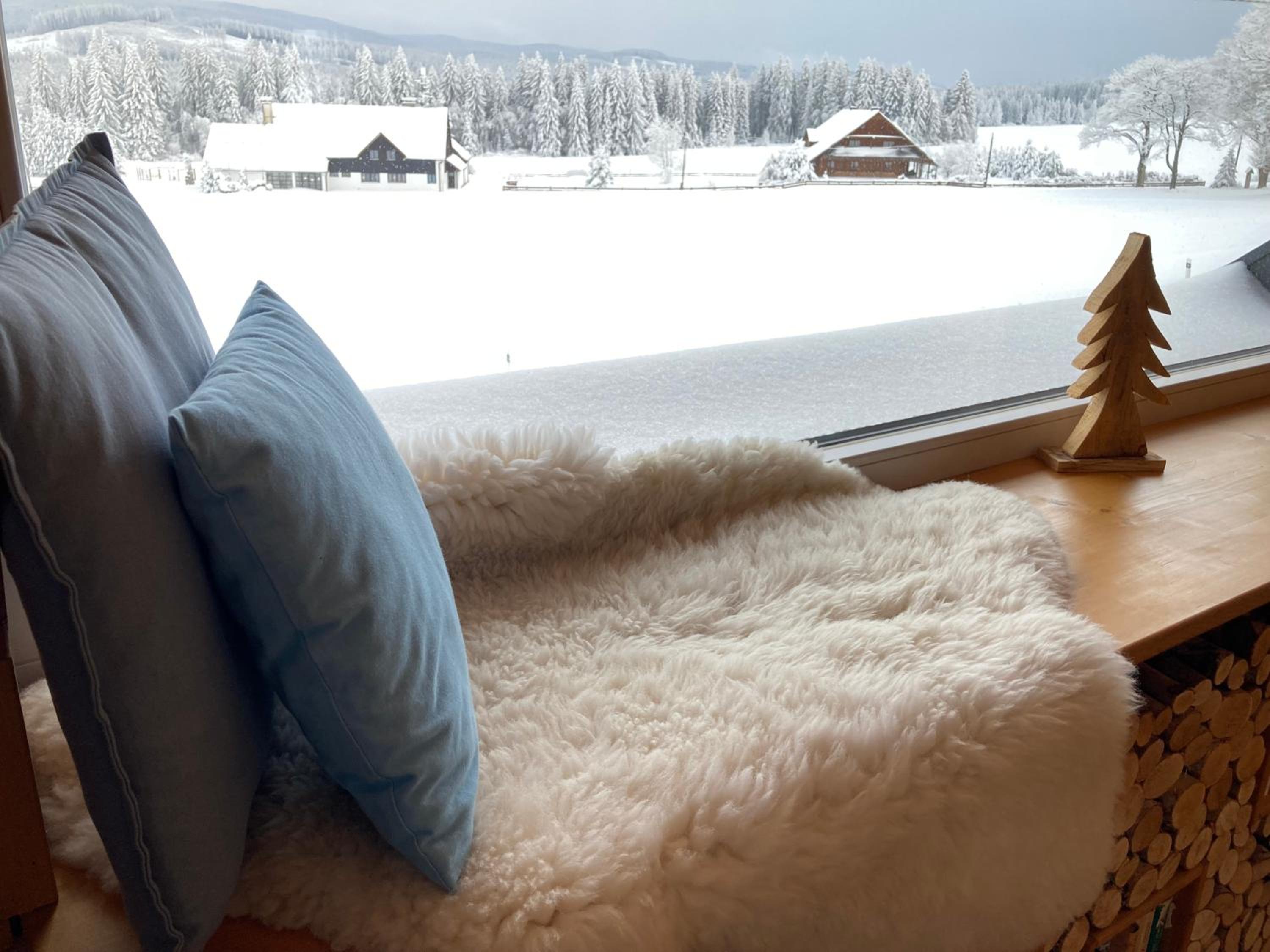 Horský apartmán Vyhlídka Rejvíz view 4