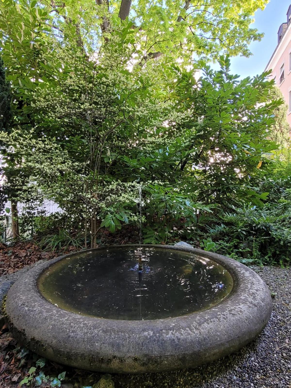 3.5 Zimmer mit Aussichtsterrasse