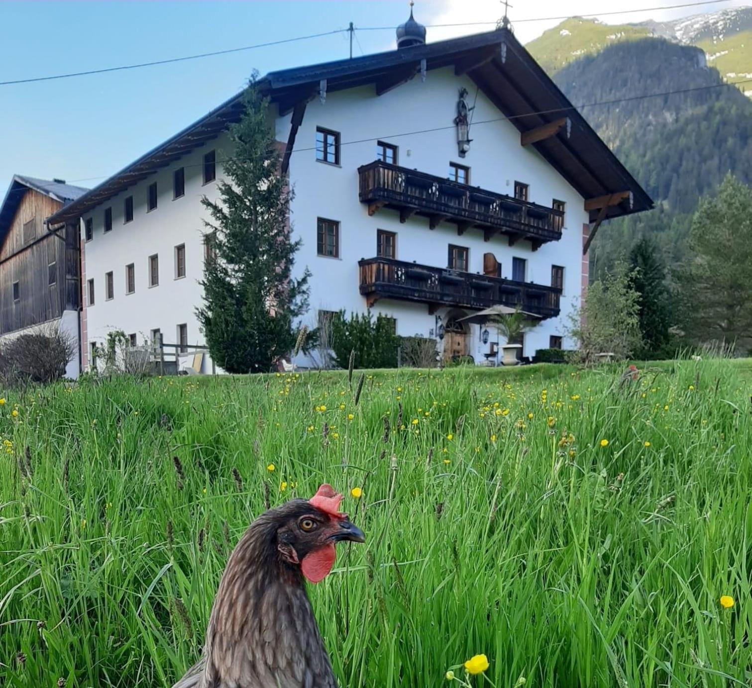 Pulvererhof