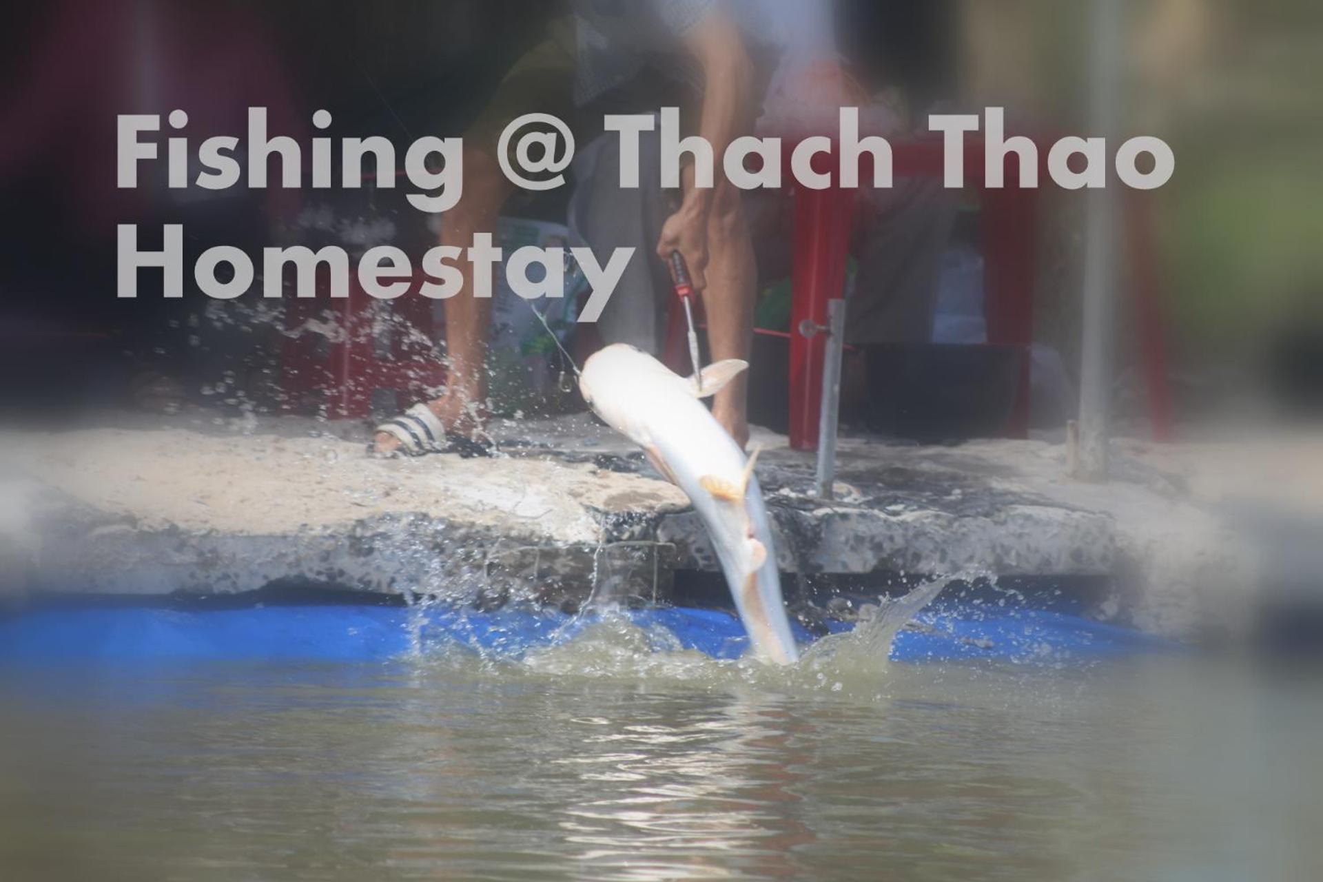 Thạch Thảo Homestay