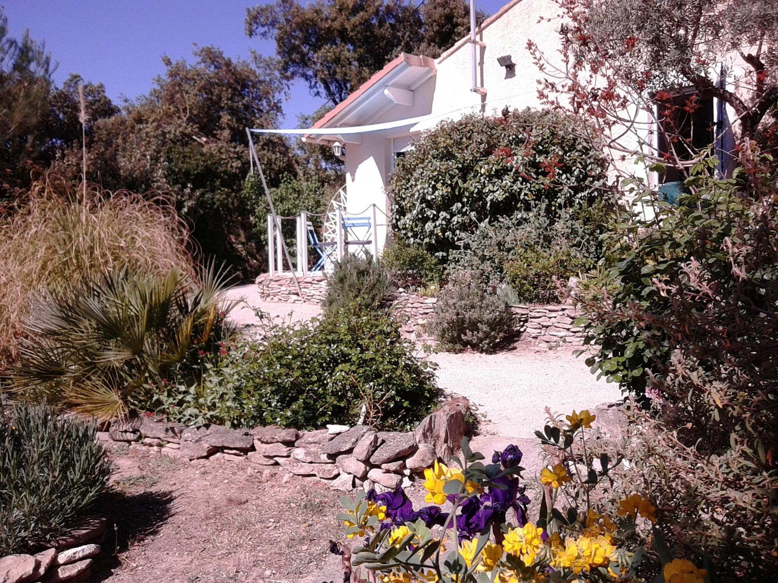 Photo 19