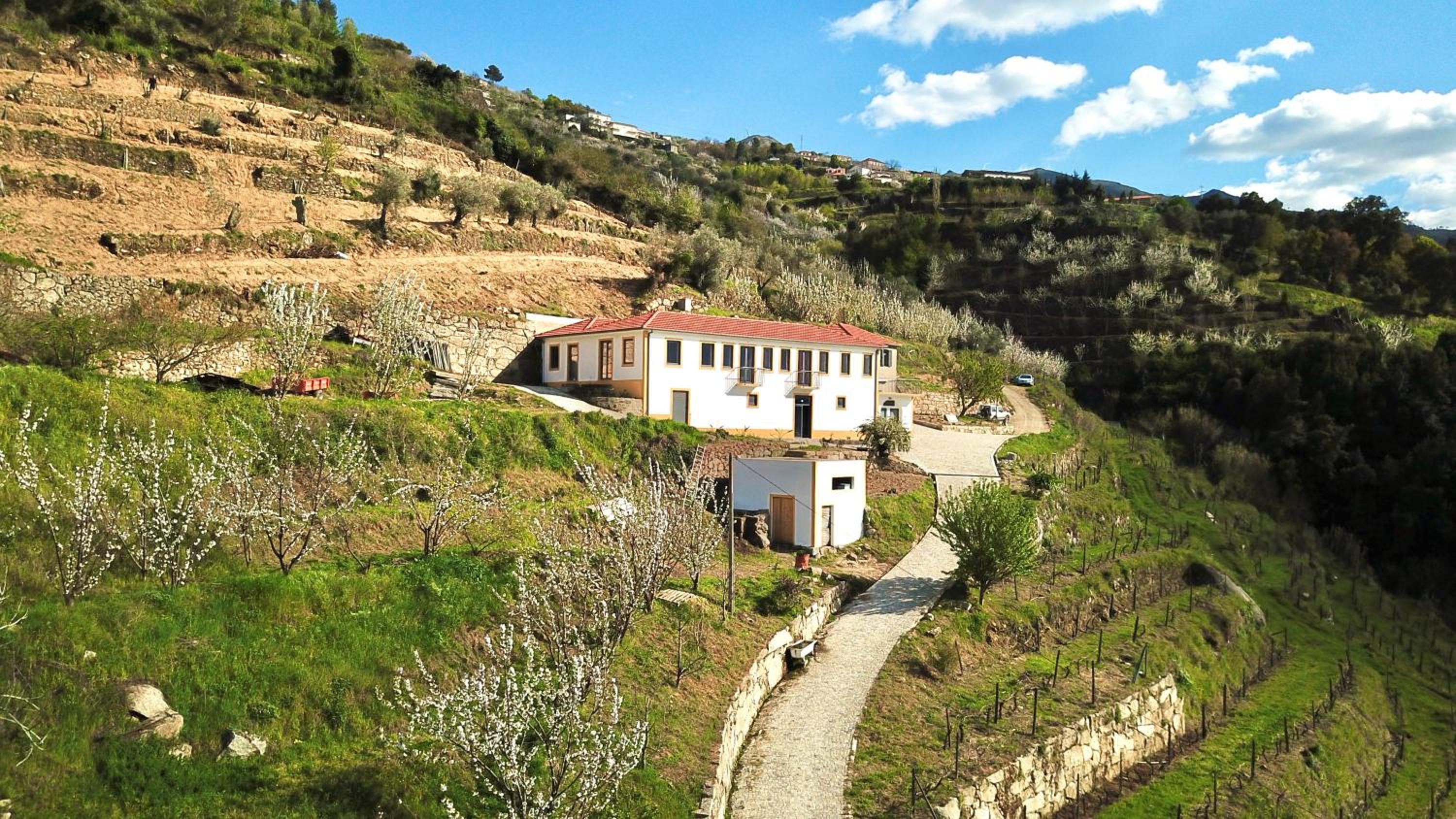 Quinta do Fojo Valonguinho, Barrô