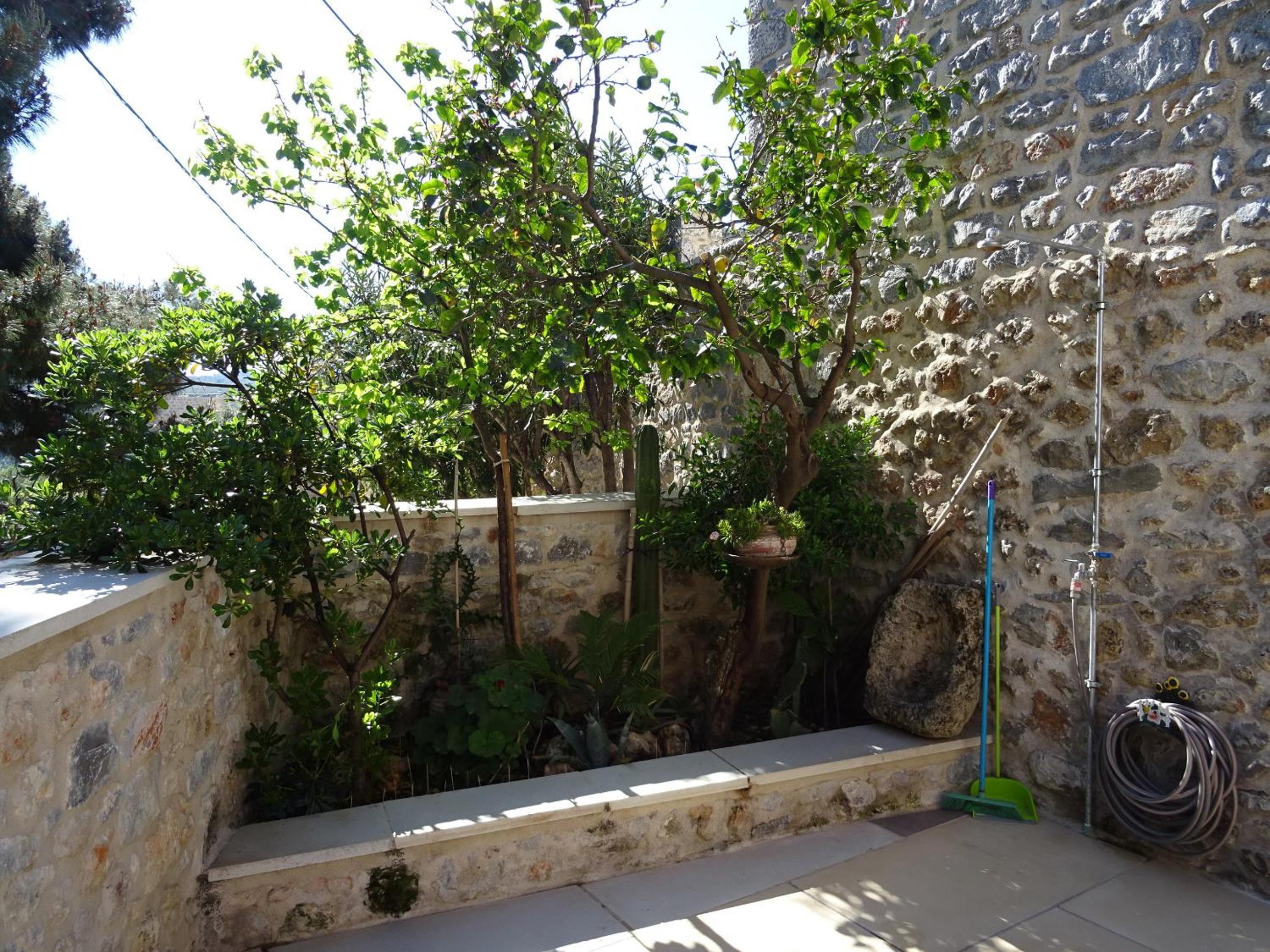 Photo 51