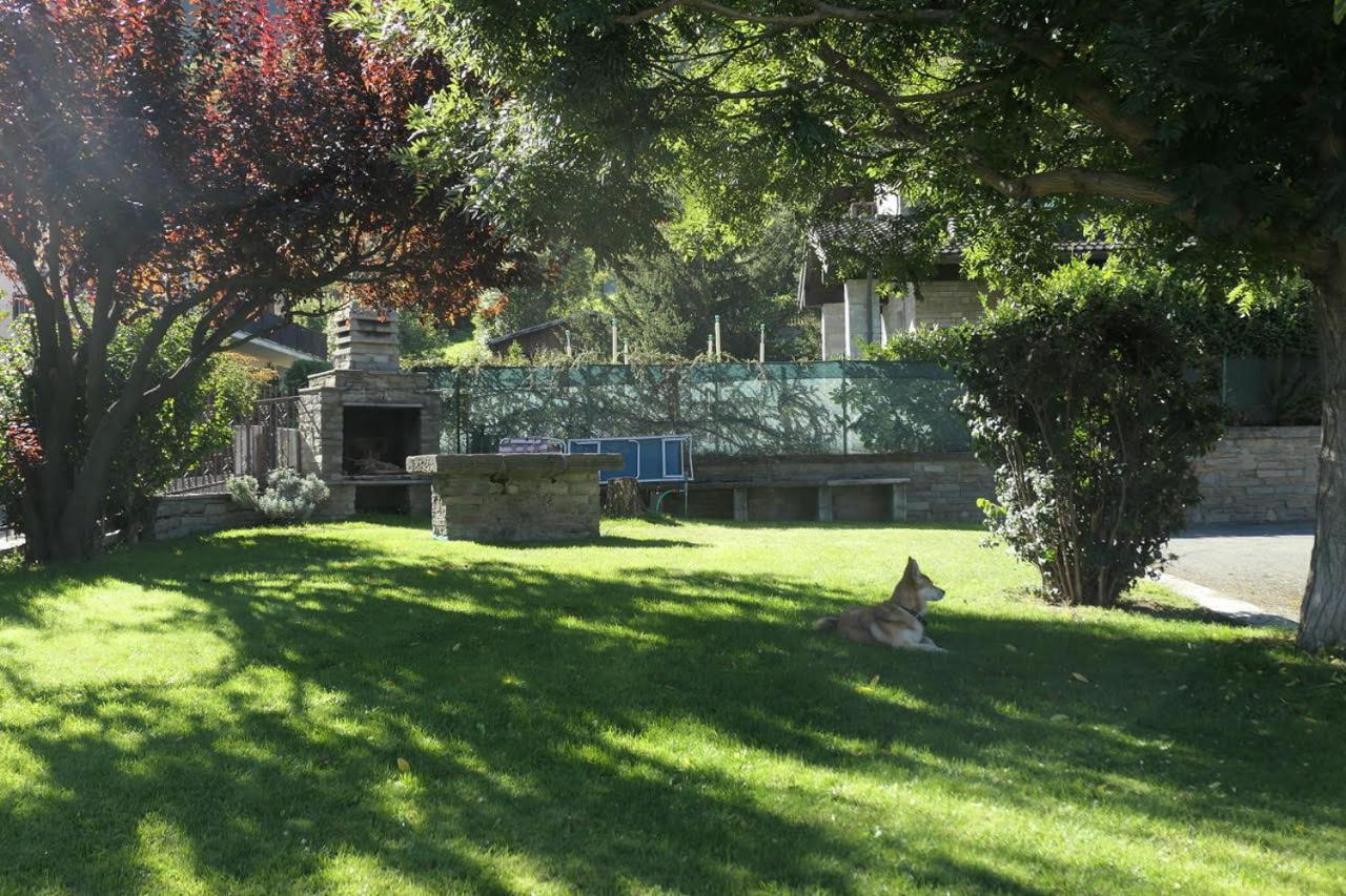 Photo 6