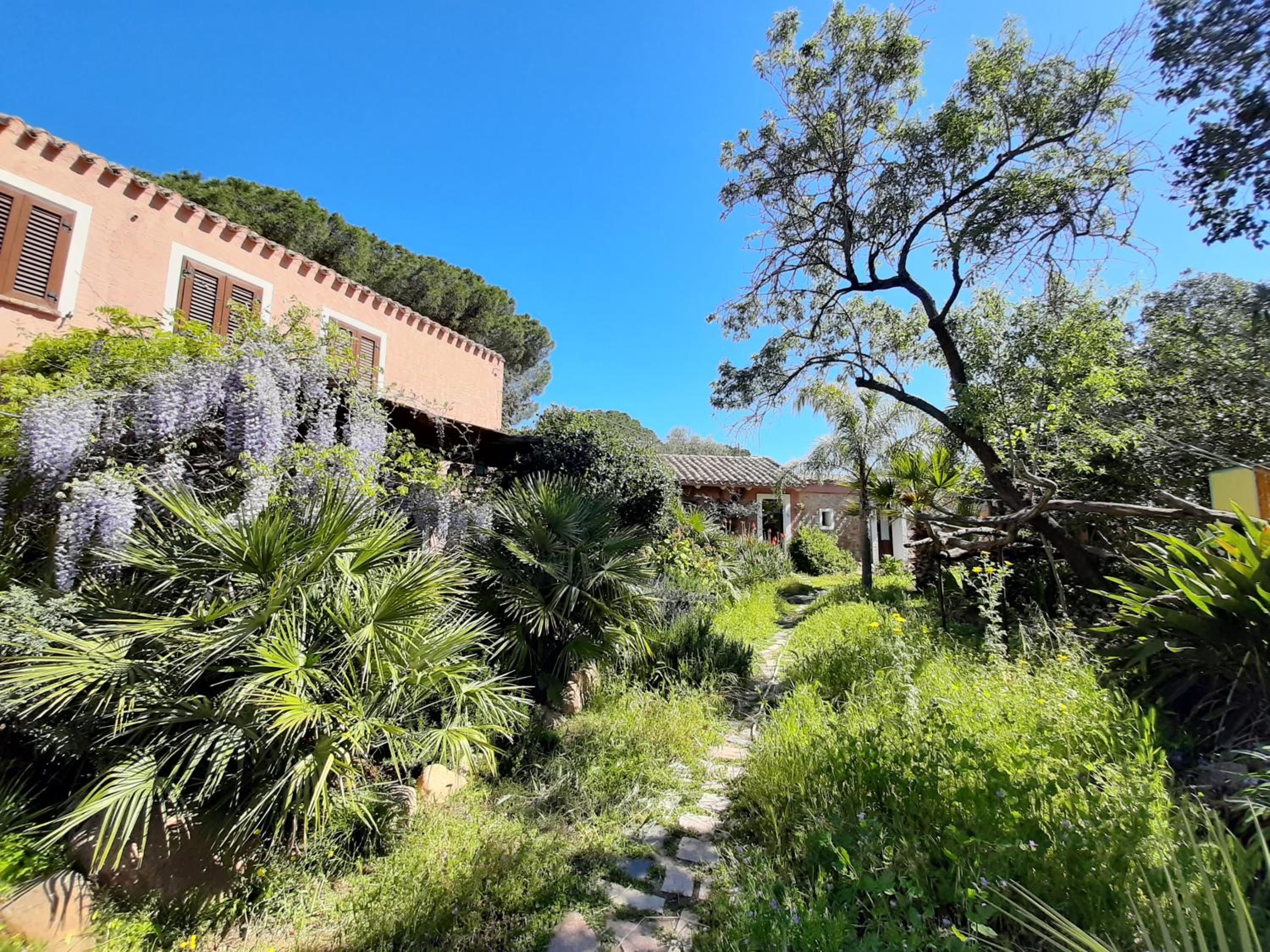 La Fattoria Delle Tartarughe view 5