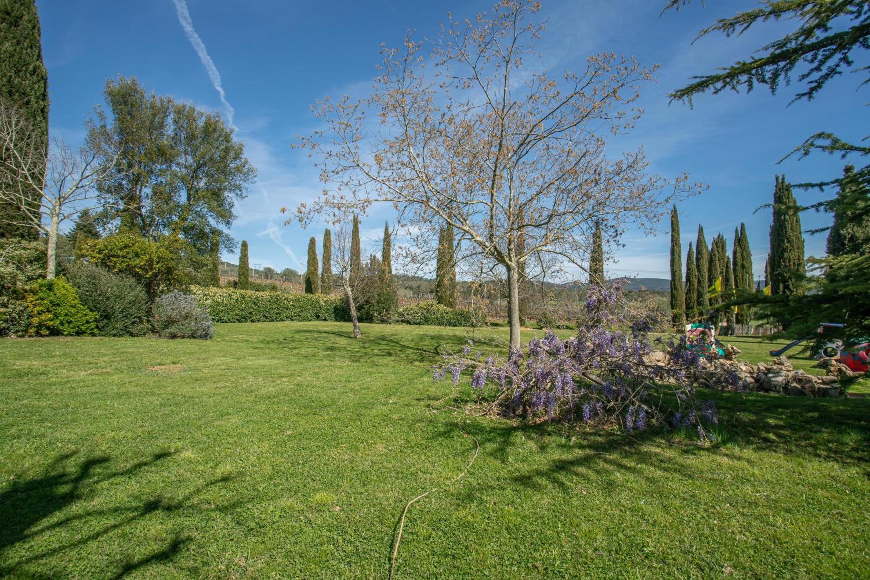 Olivos