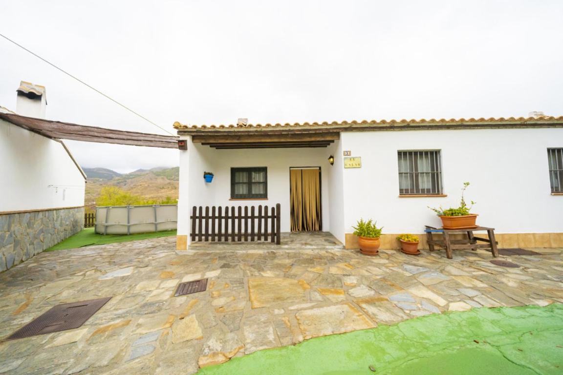 Photo 82