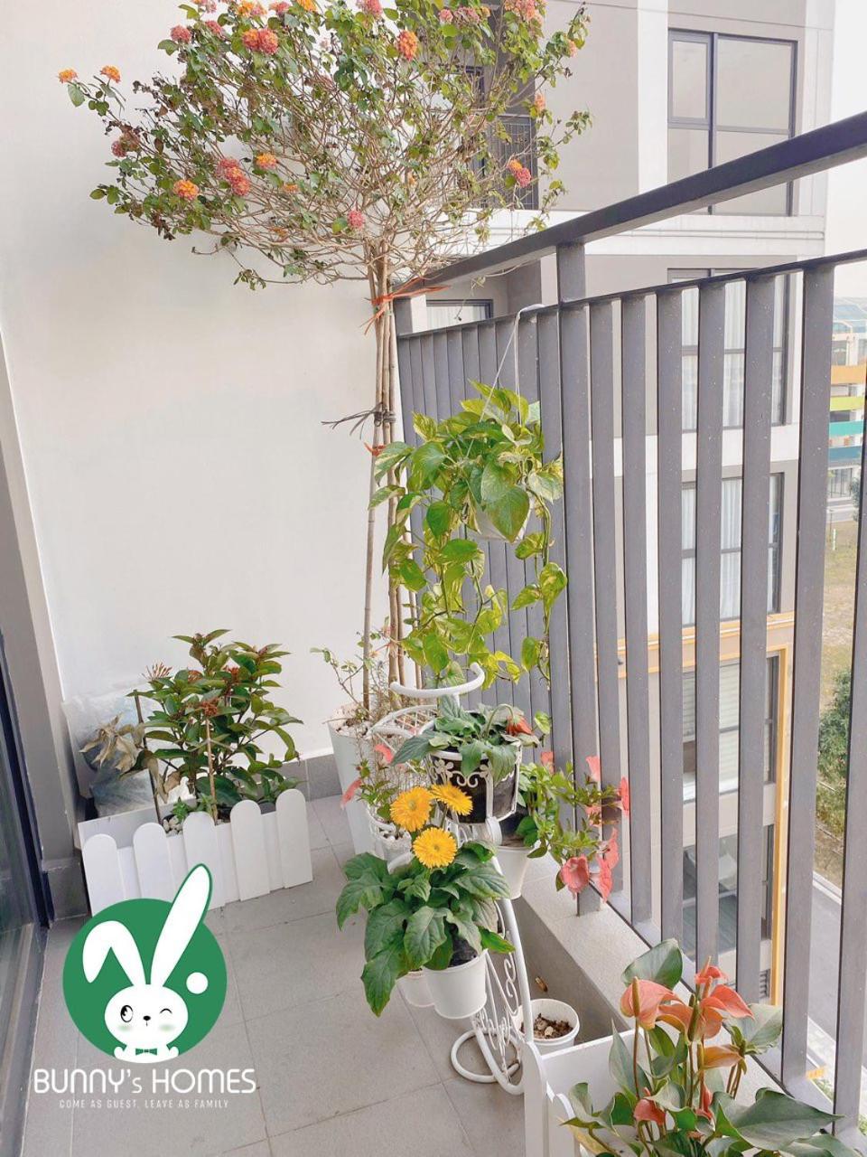 Bunnys Homes - Managed by WiWi - Vinhomes Ocean Park