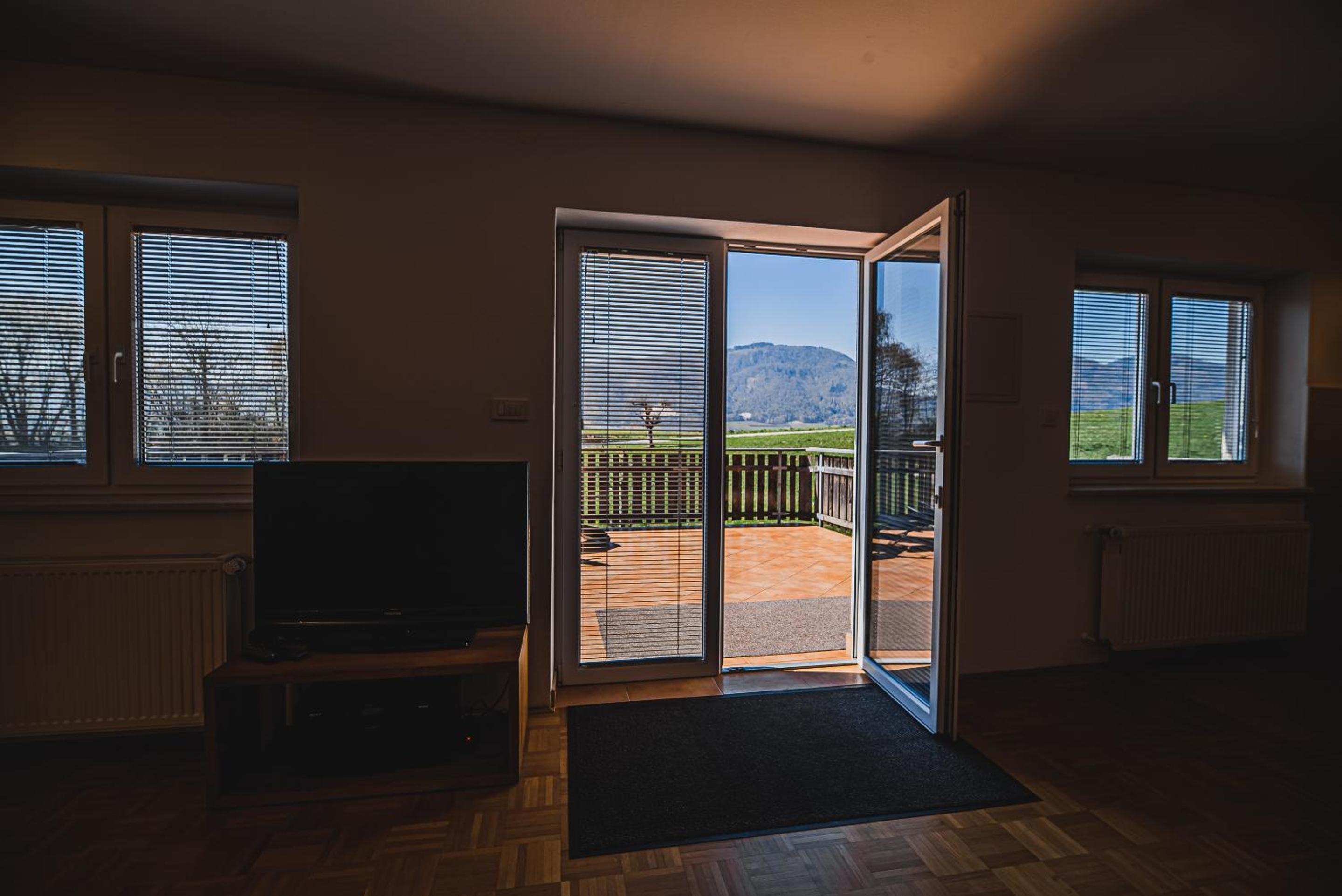 Apartment pri Povhih view 5