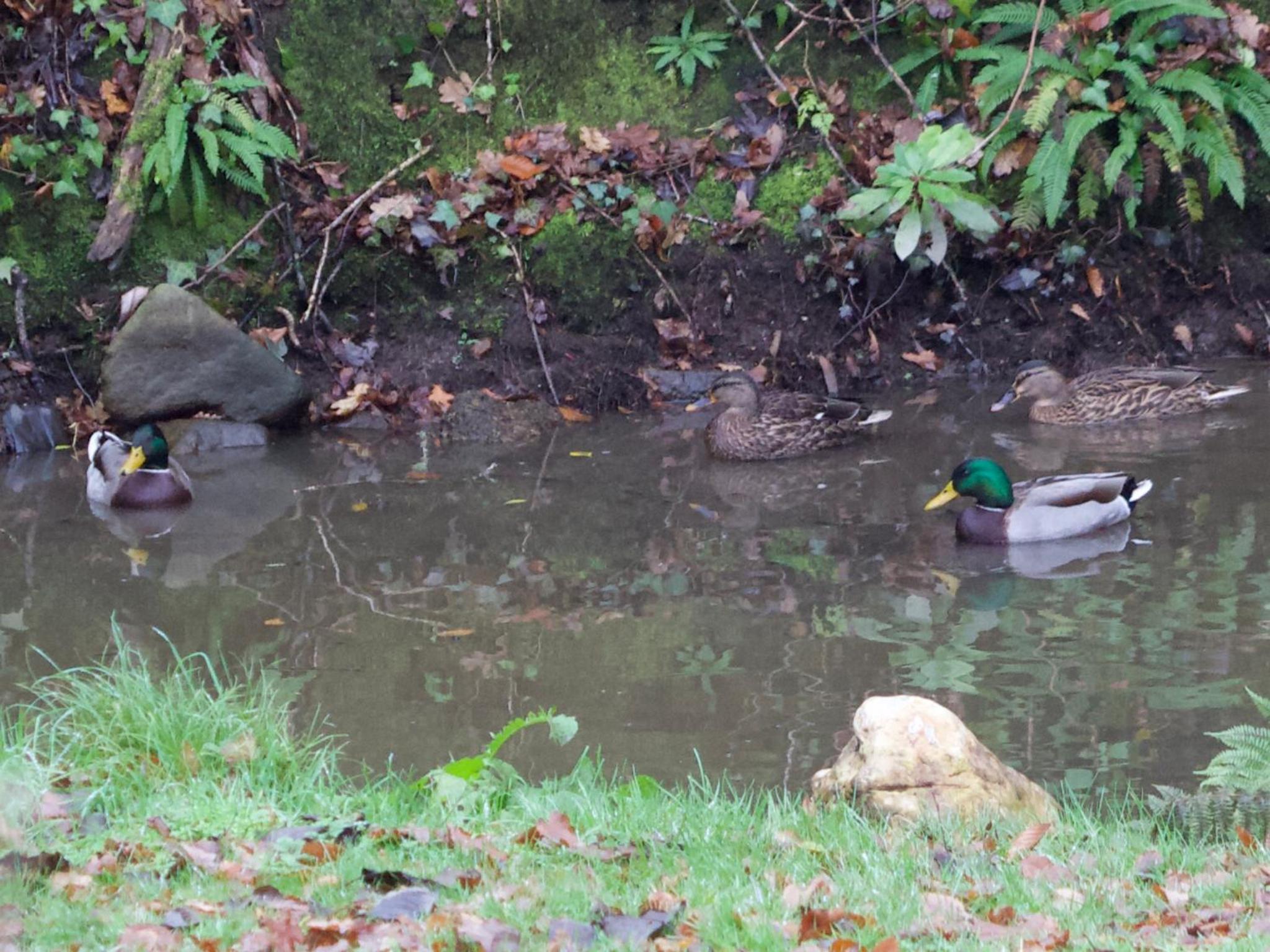 other