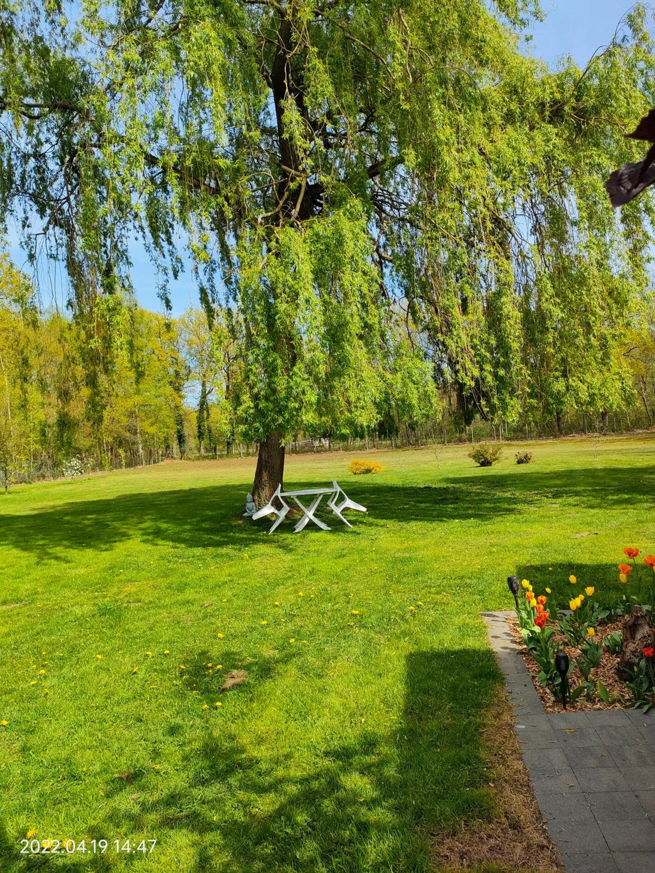 De Stille Weier