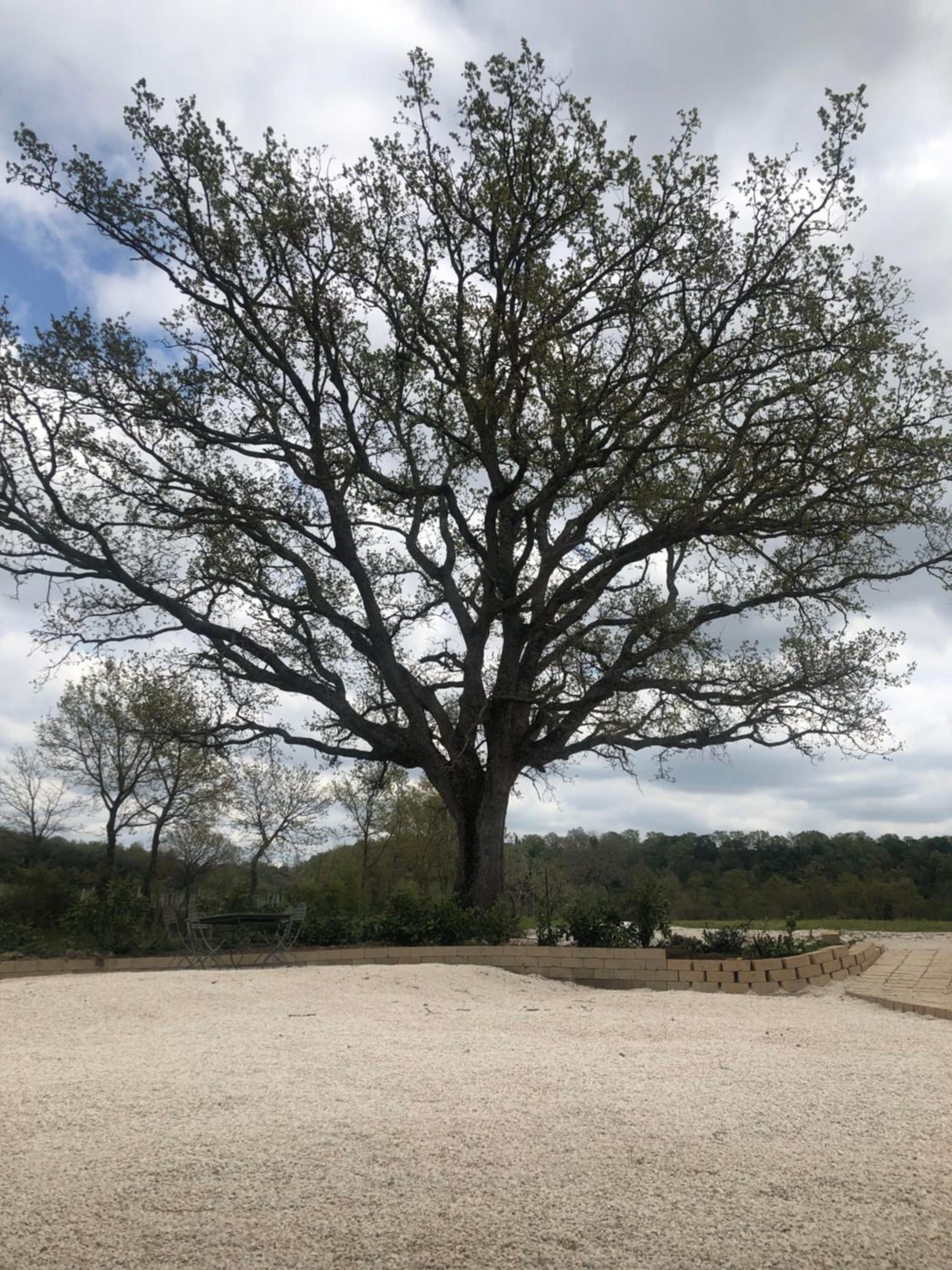 Agriturismo Antiglia