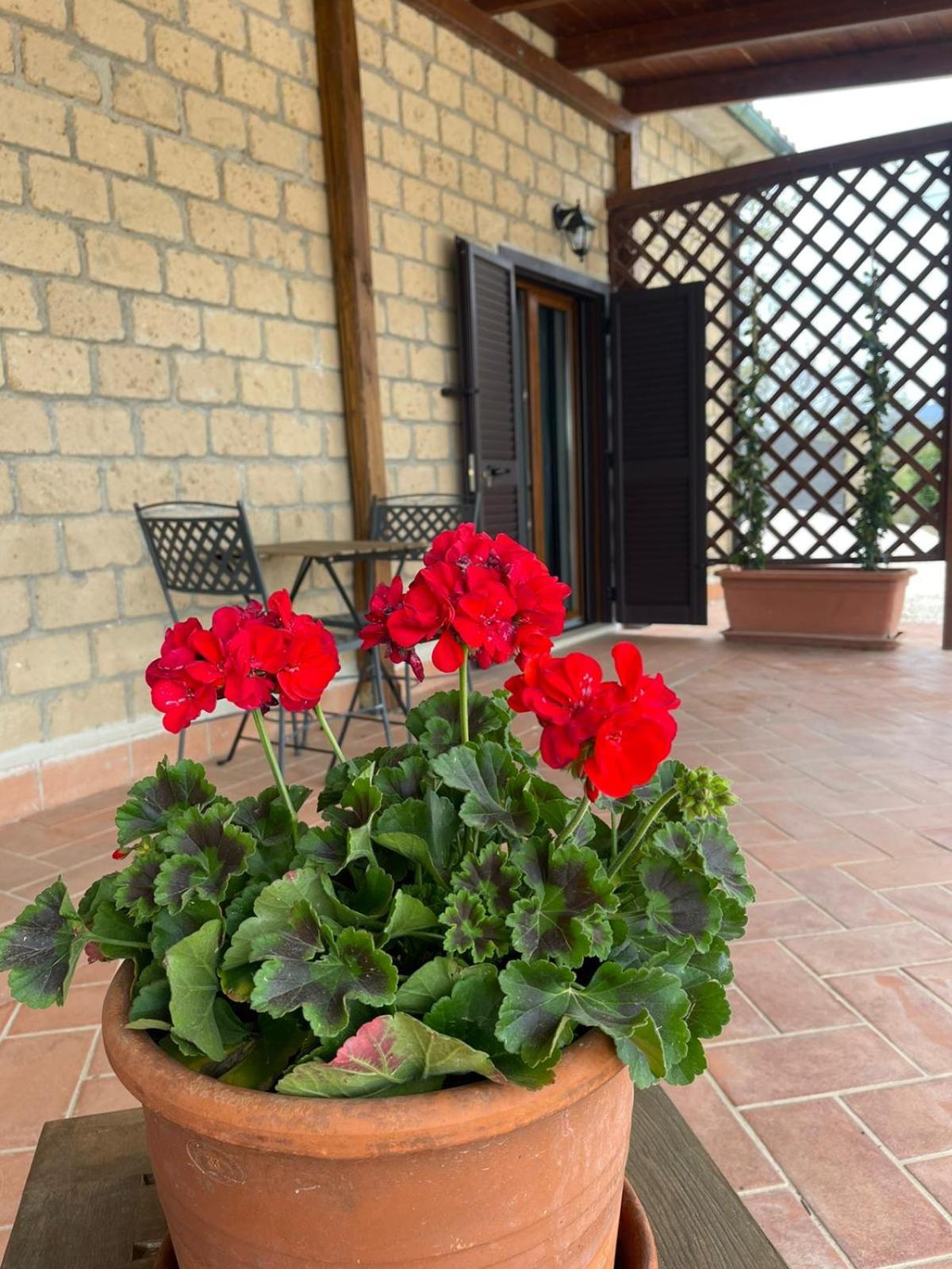Agriturismo Antiglia
