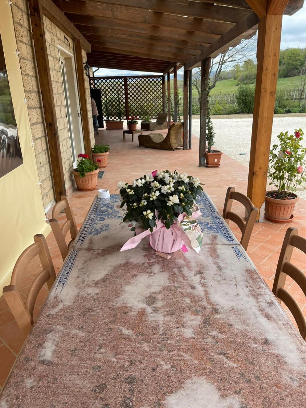 Agriturismo Antiglia