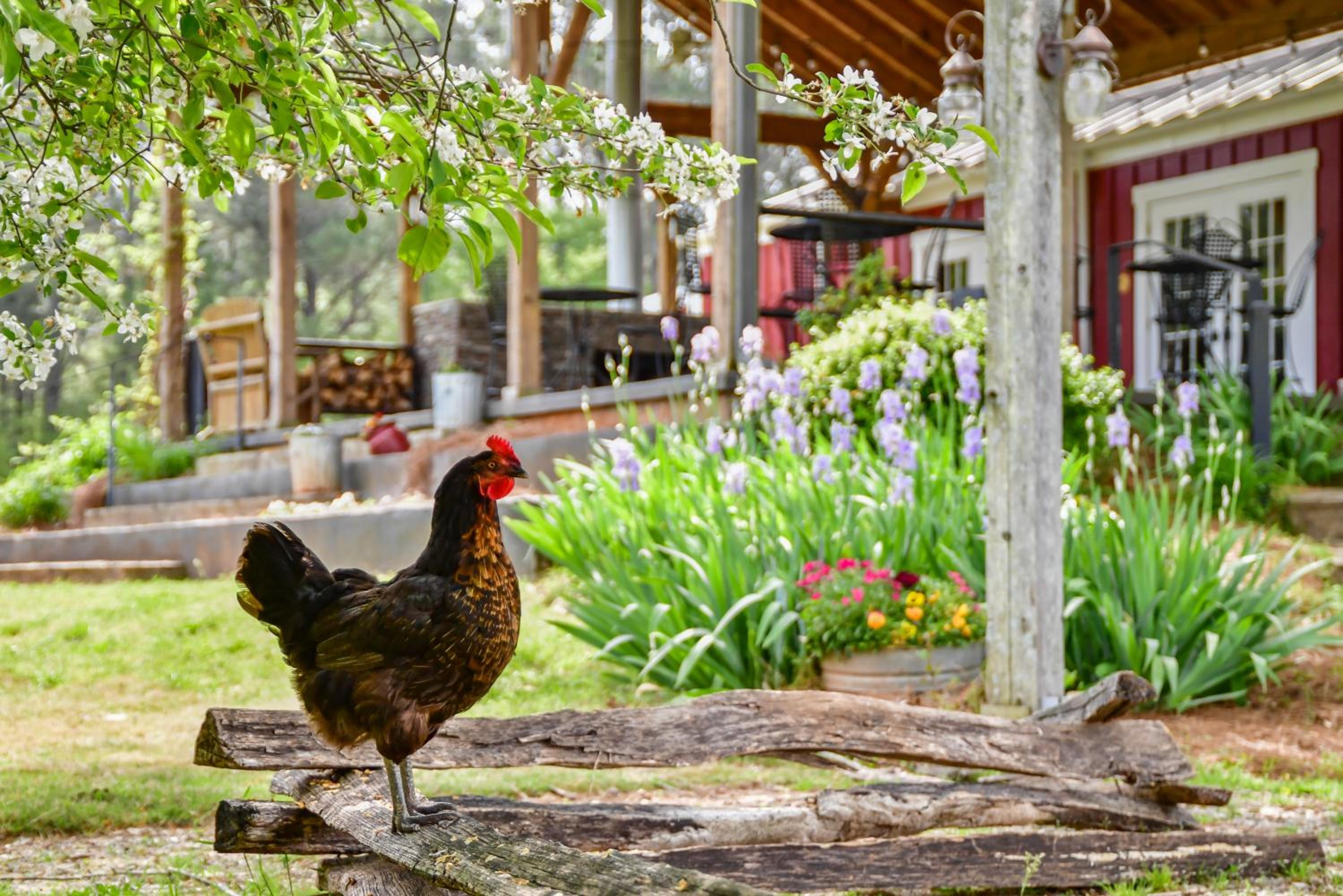 New York City Vacations - The Farmhouse Inn - Property Image 9