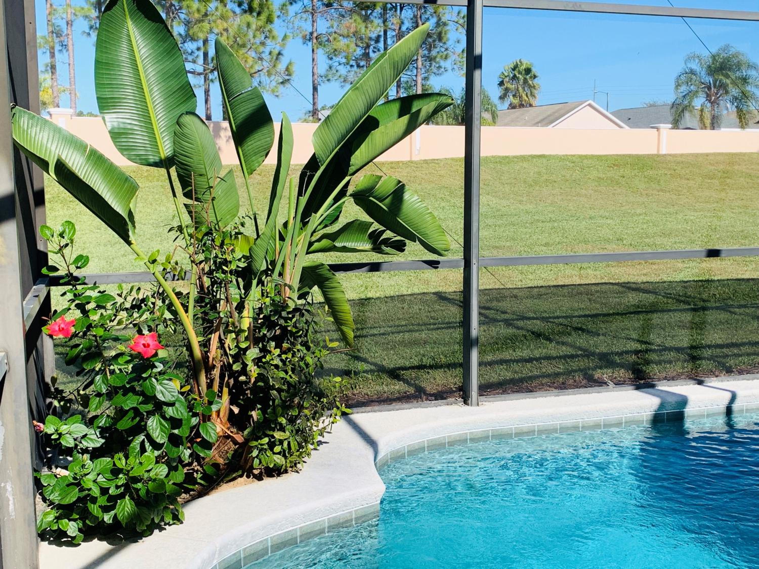 Private Pool Oasis - Upgraded 5BR Luxury VIlla view 5
