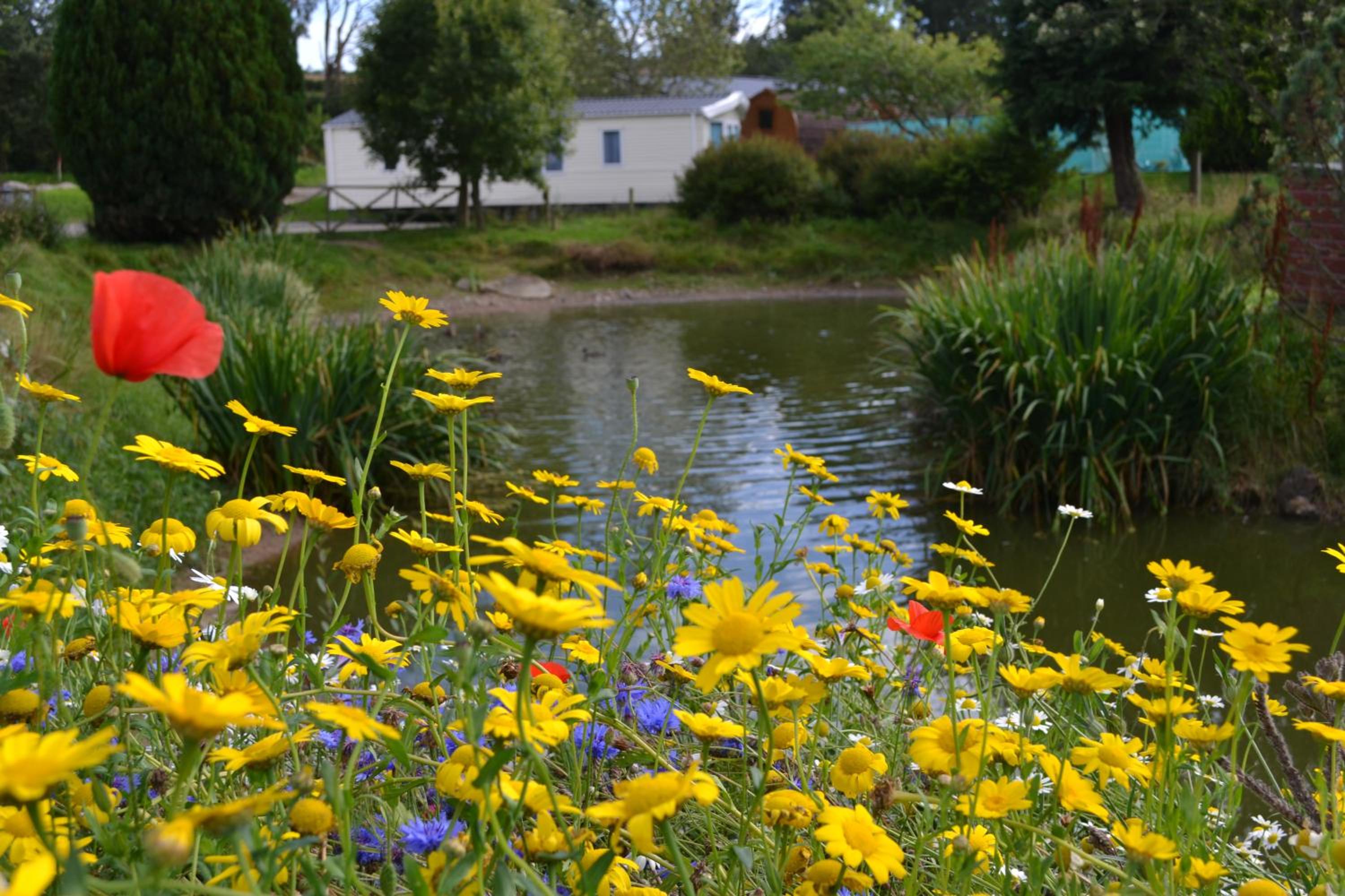 Deeside Holiday Park