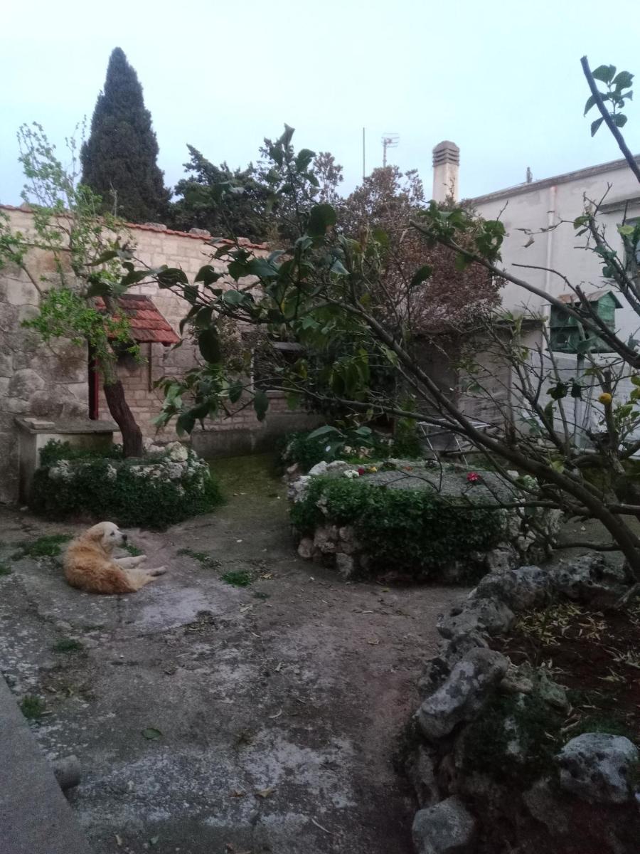 Agriturismo Teatro del grano view 2