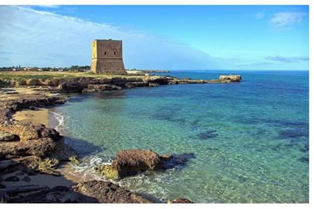 Airport Home TUREI & BRINGO Car Rental photo 4