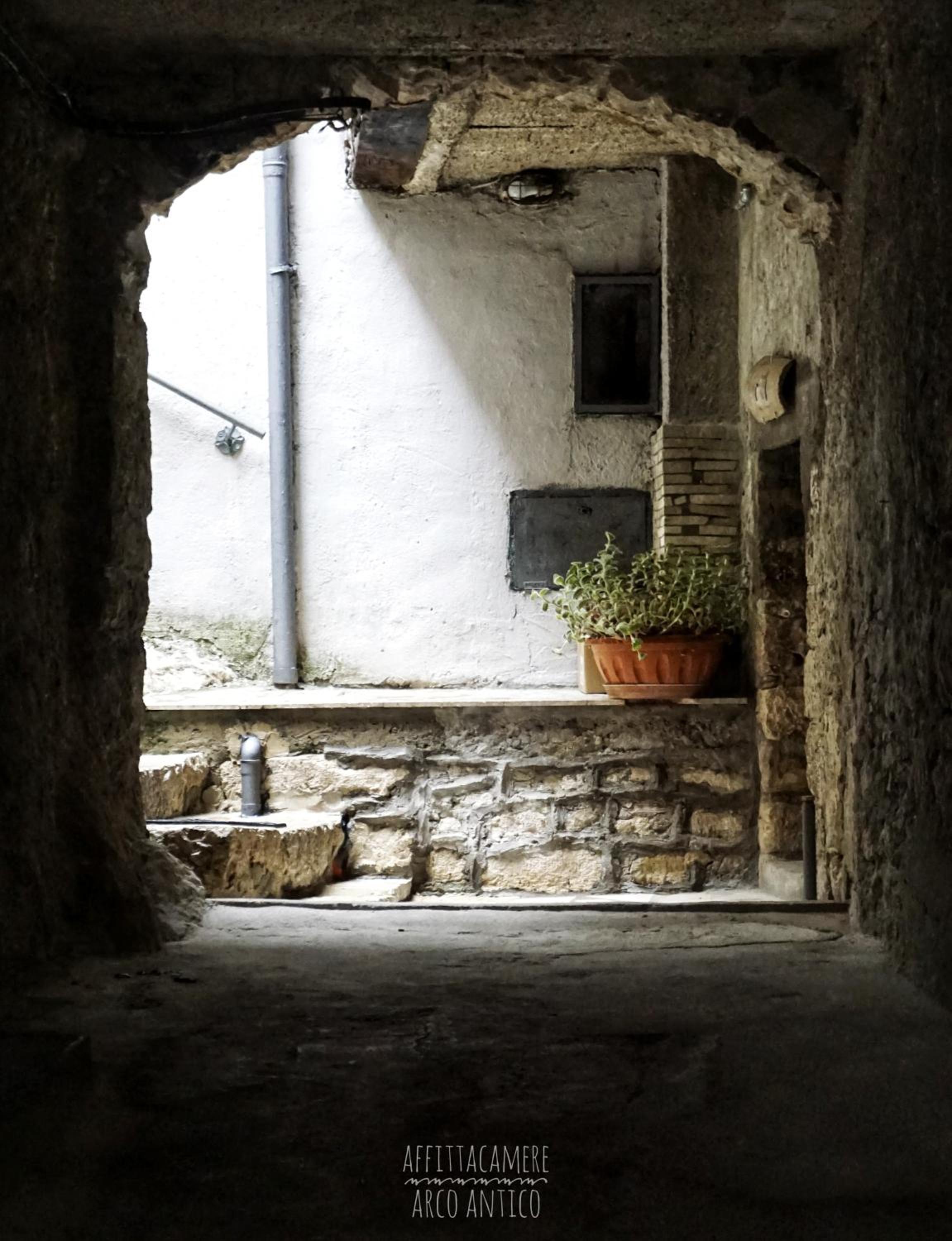 Photo 45