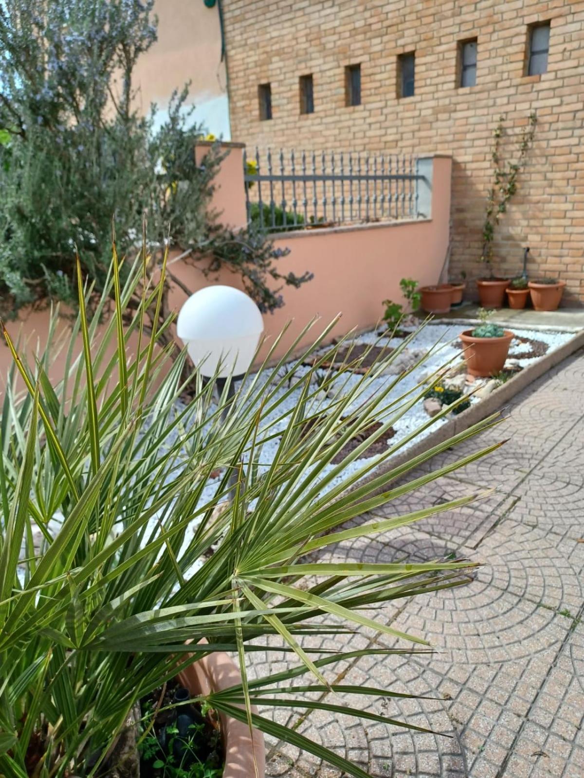 Photo 19