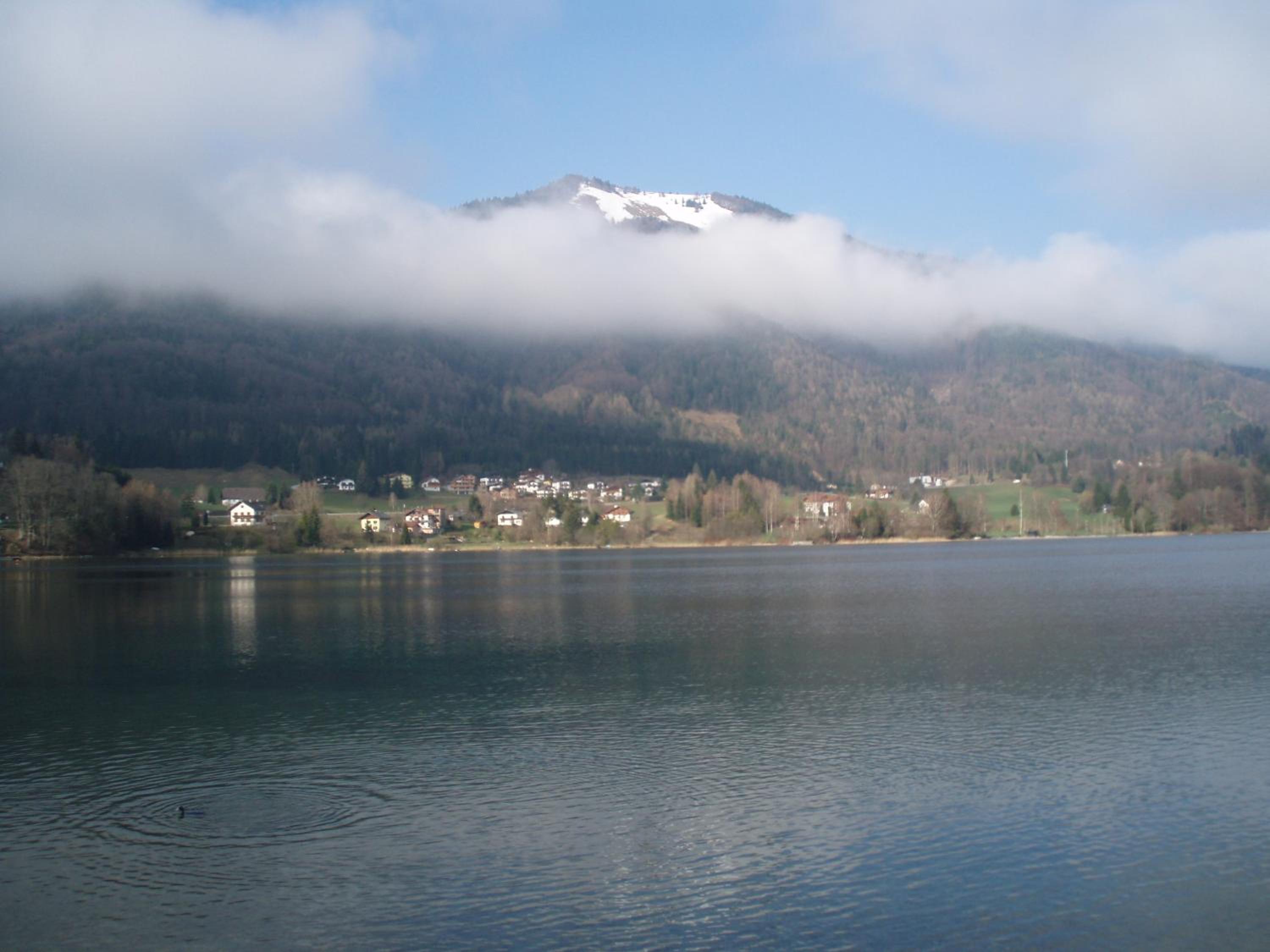 Pension Salzburger Hof
