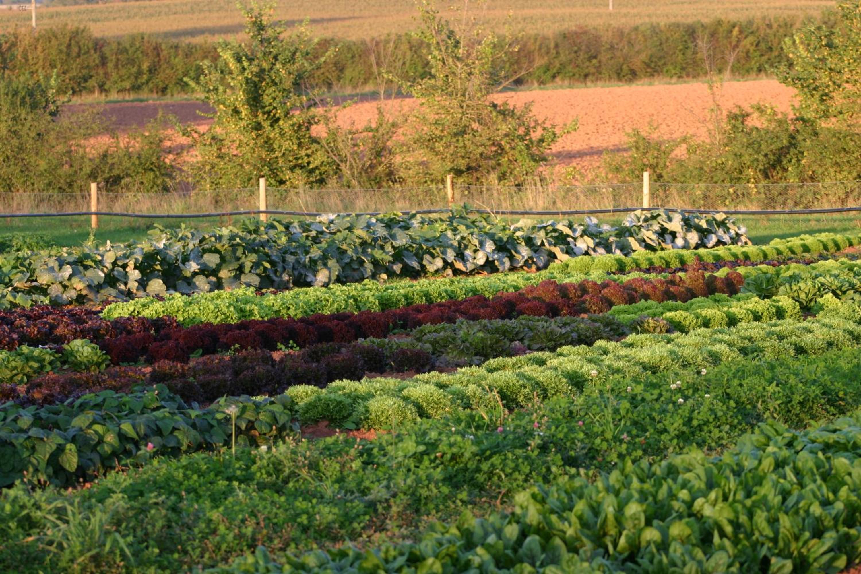 Huntstile Organic Farm