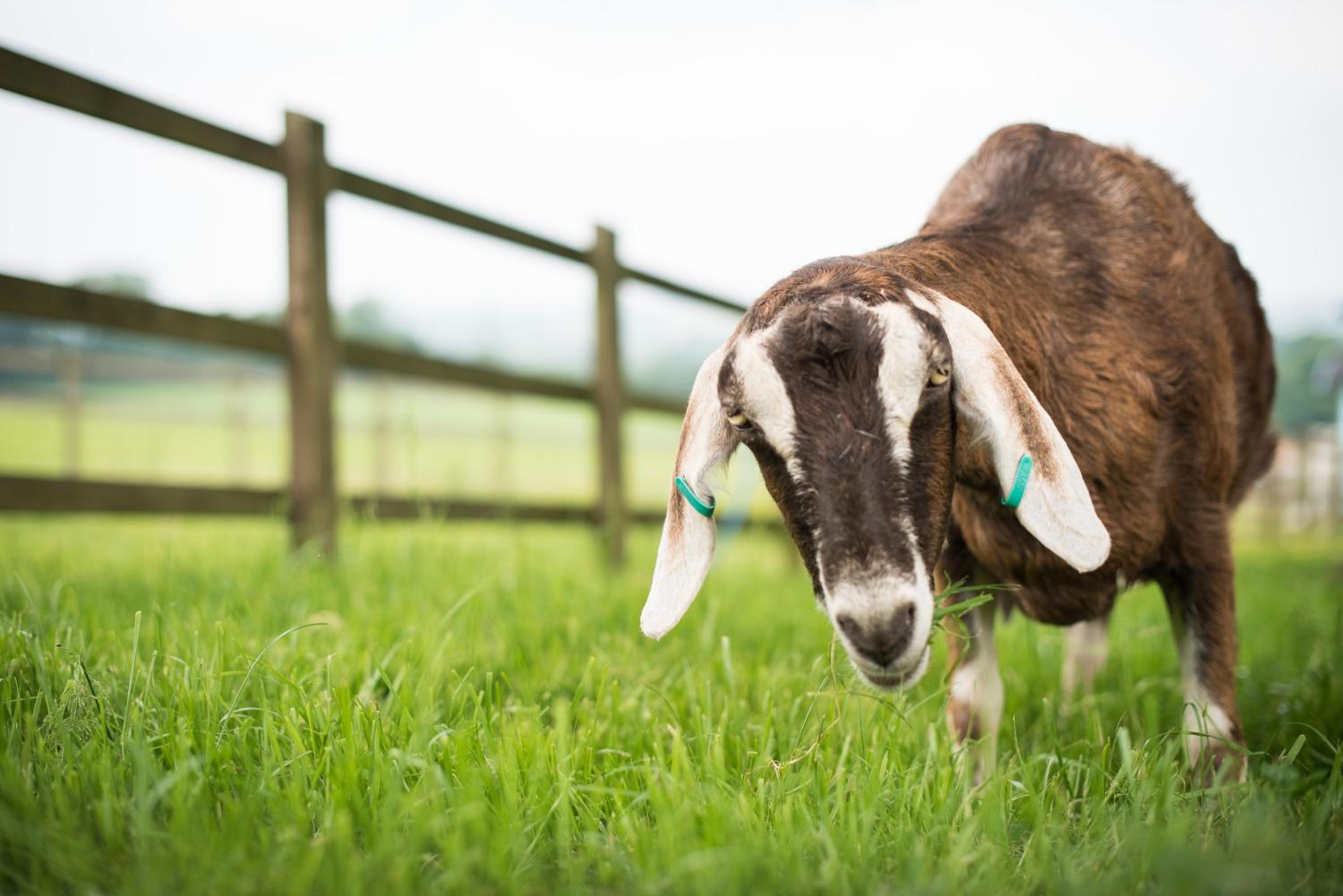 Huntstile Organic Farm