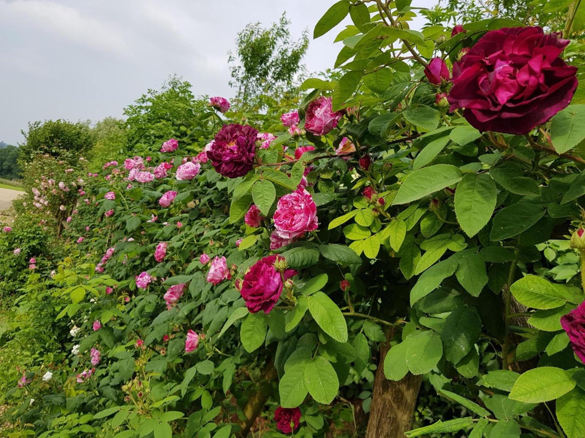 Huntstile Organic Farm