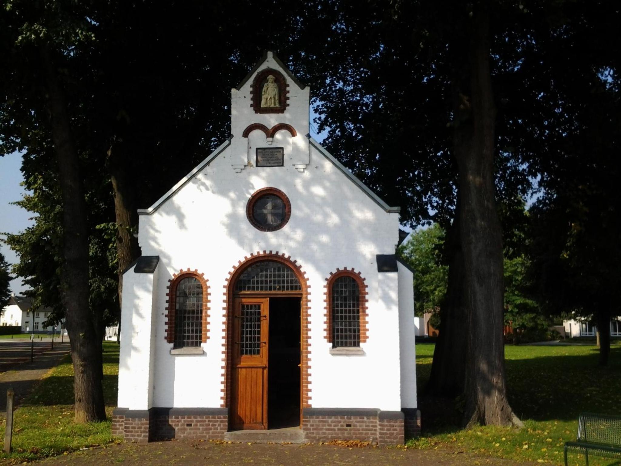 Photo 15
