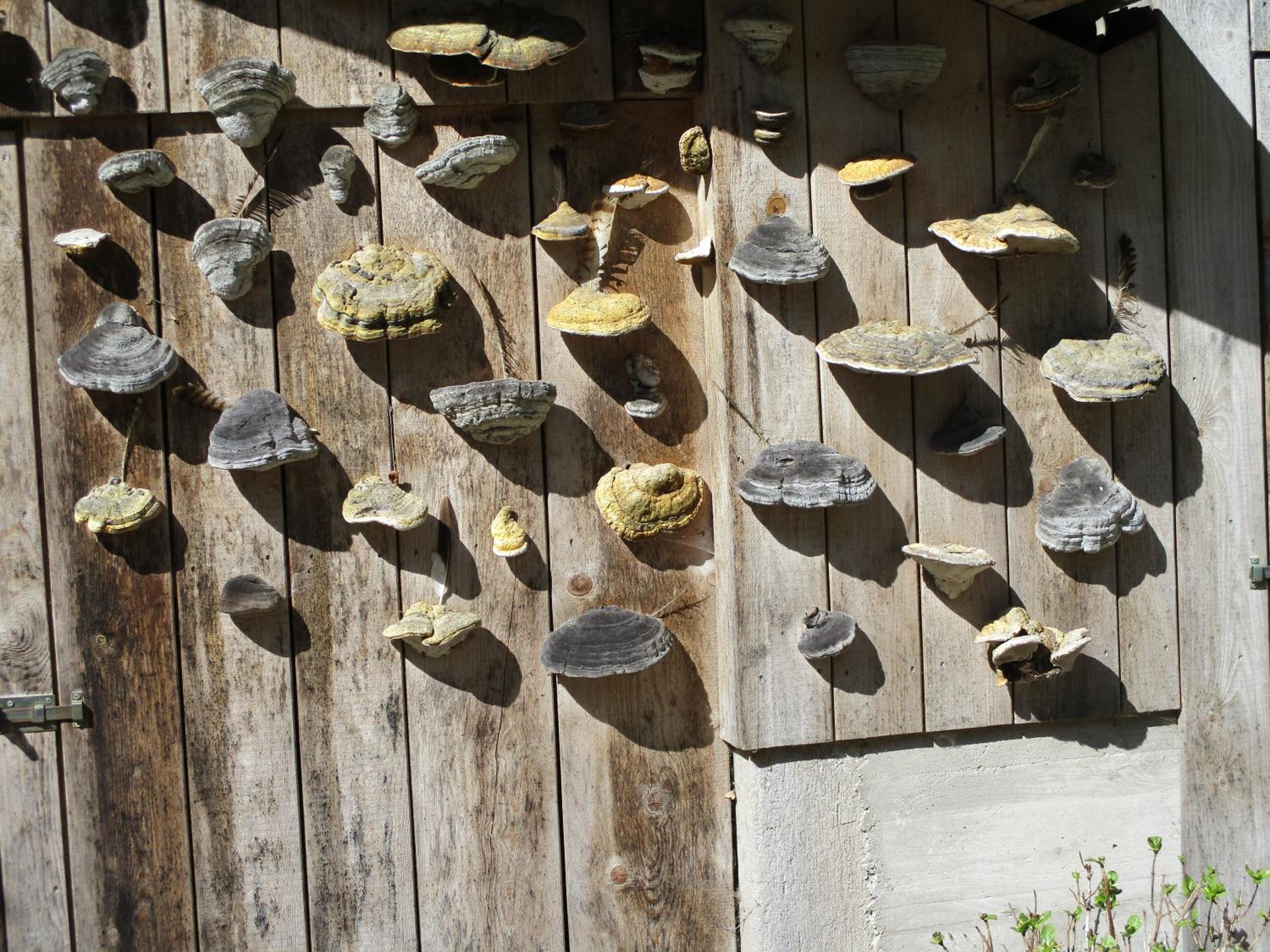 Photo 16