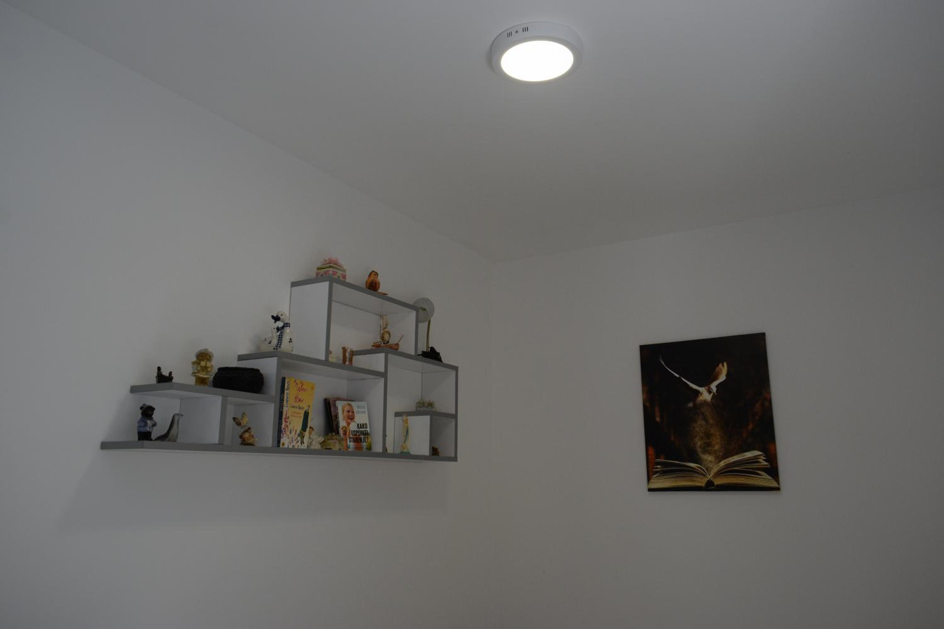 Photo 49