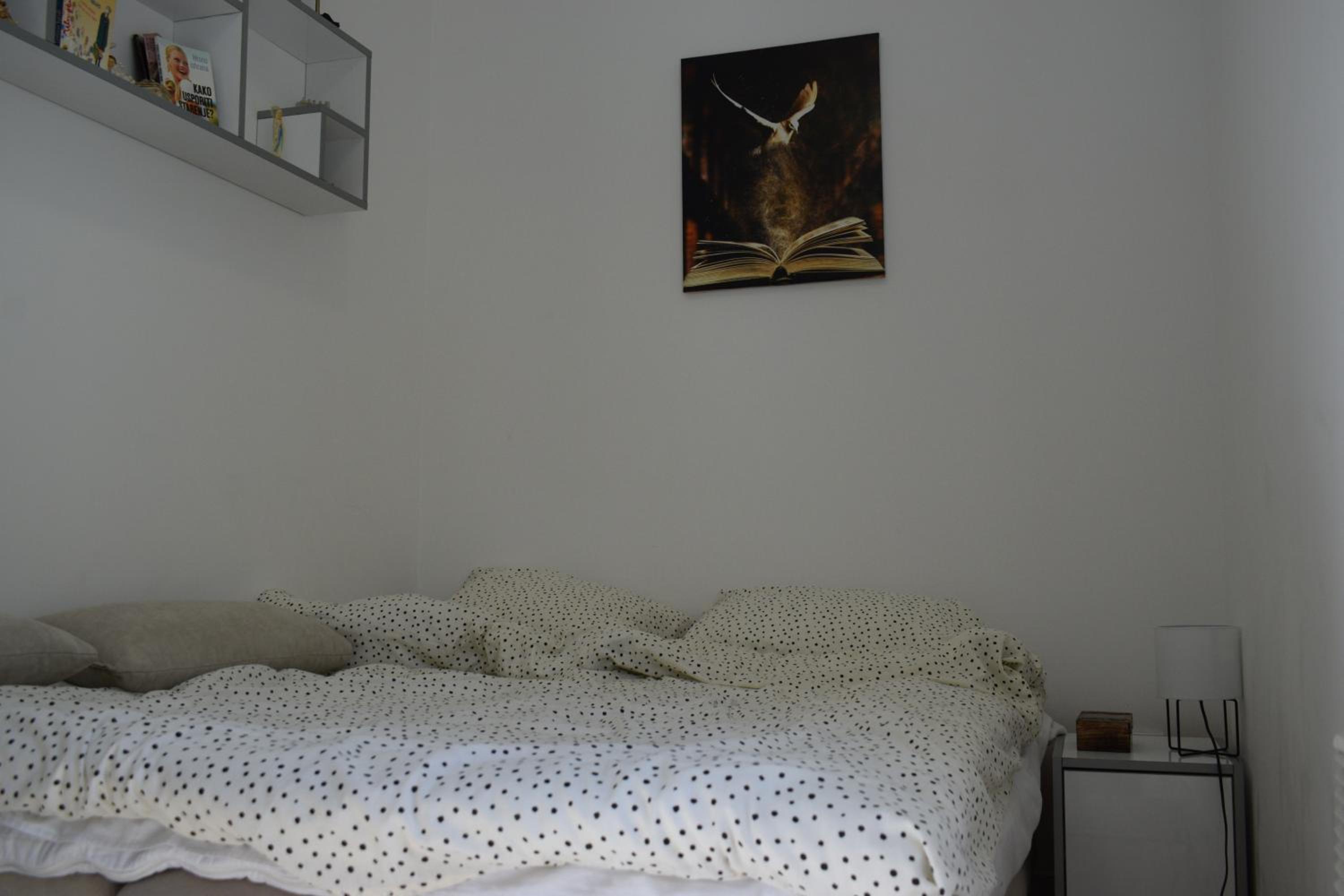 Photo 48