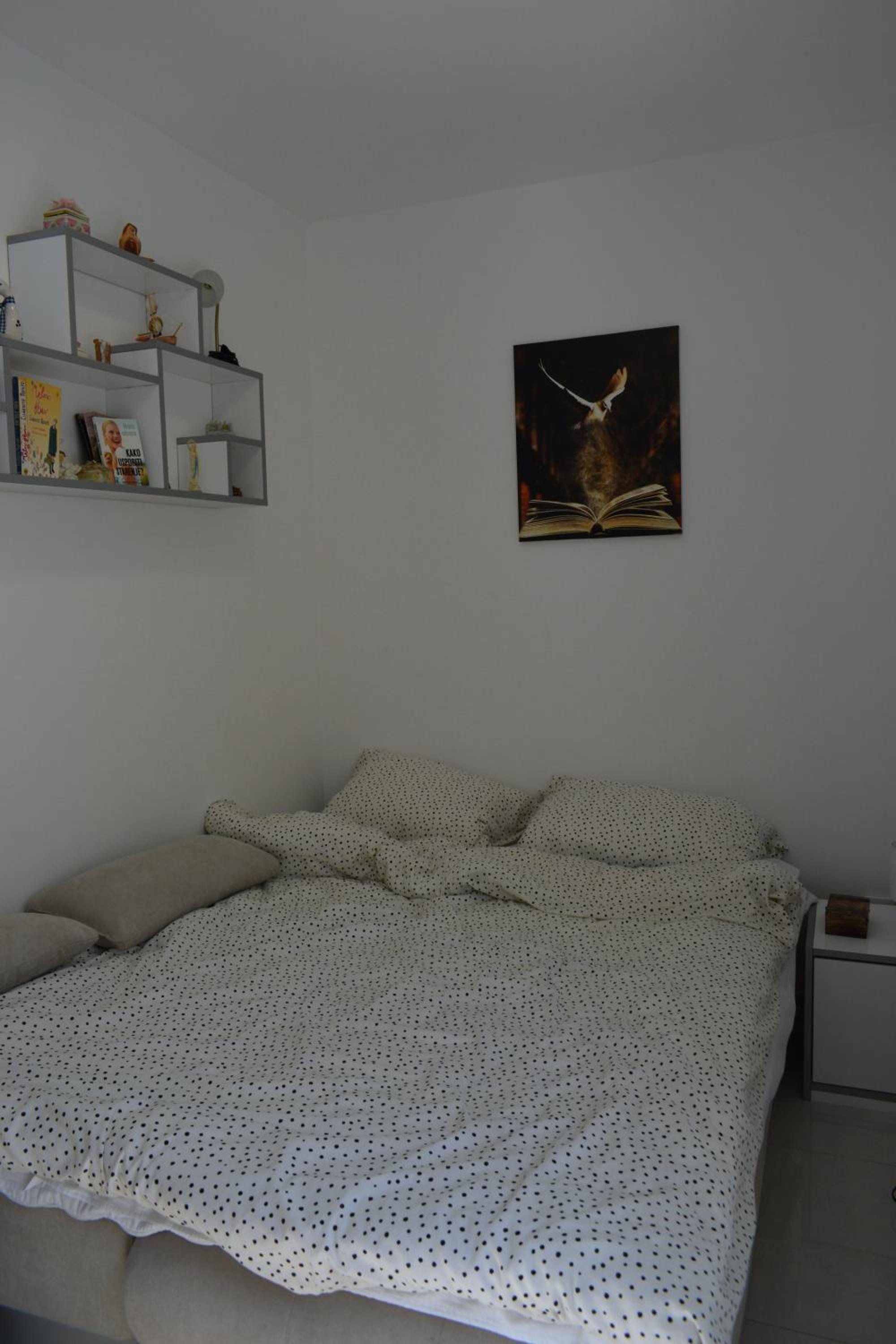 Photo 47