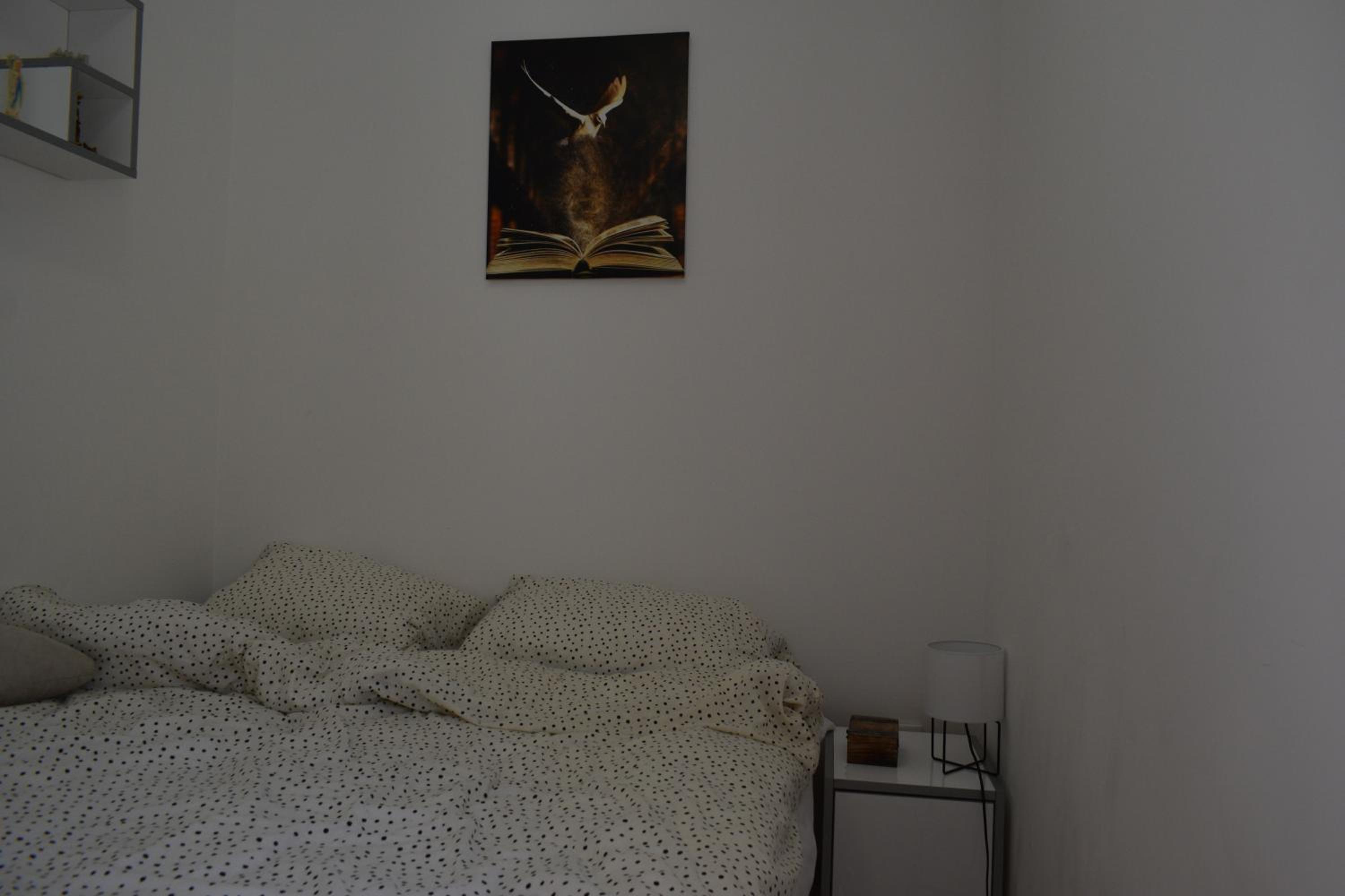 Photo 46