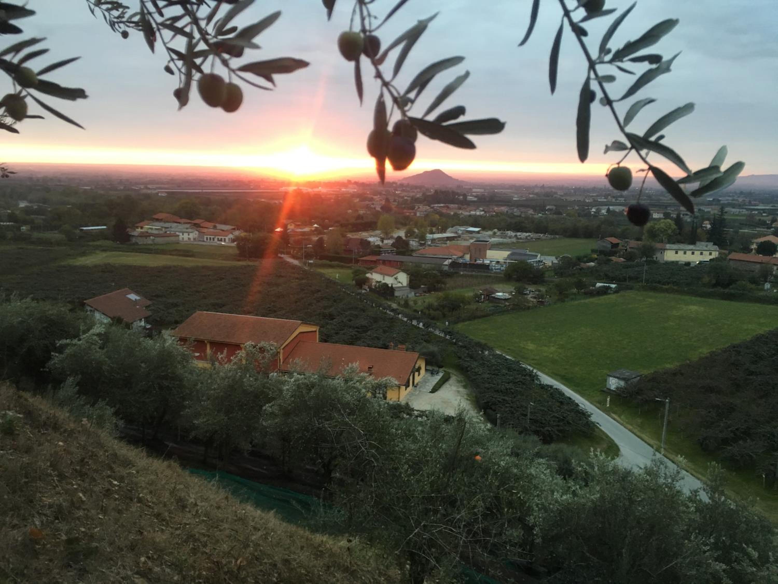 Agrialpi by Salfrutta