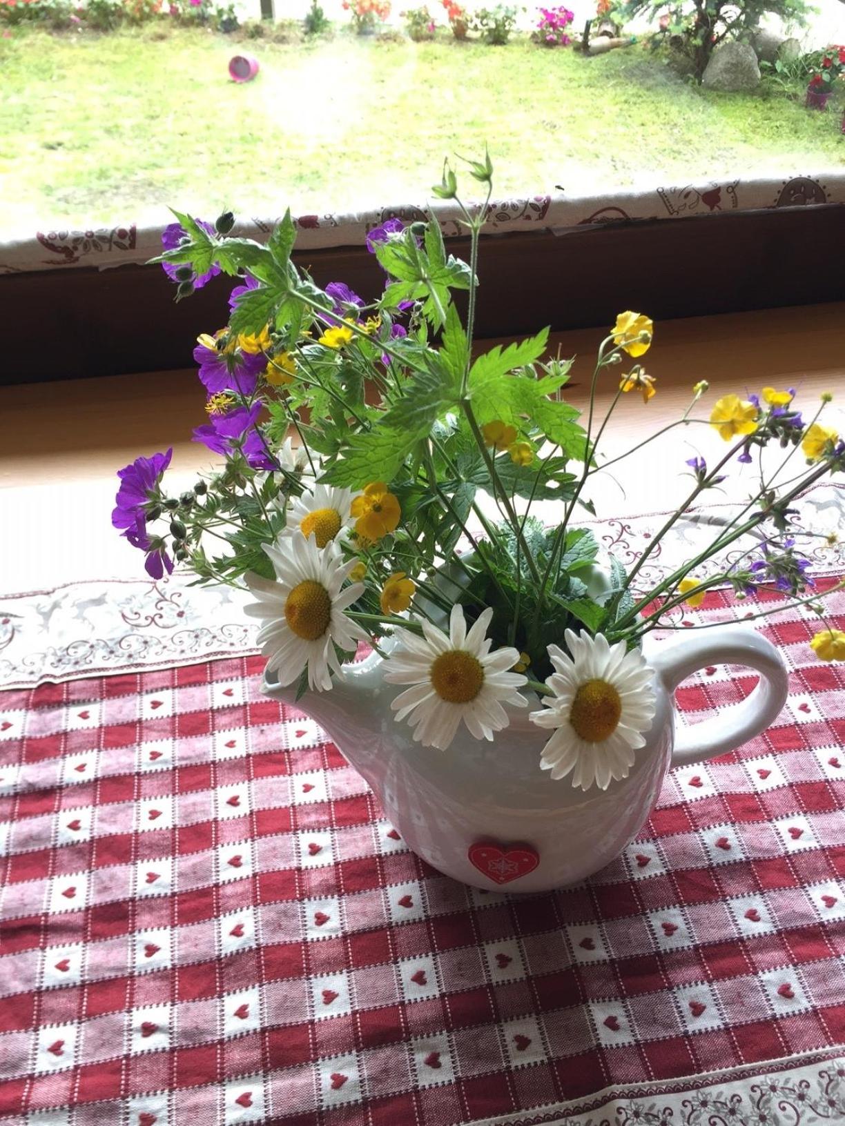 Casetta dei Cuori - Alpine Style Cozy Apartment view 5