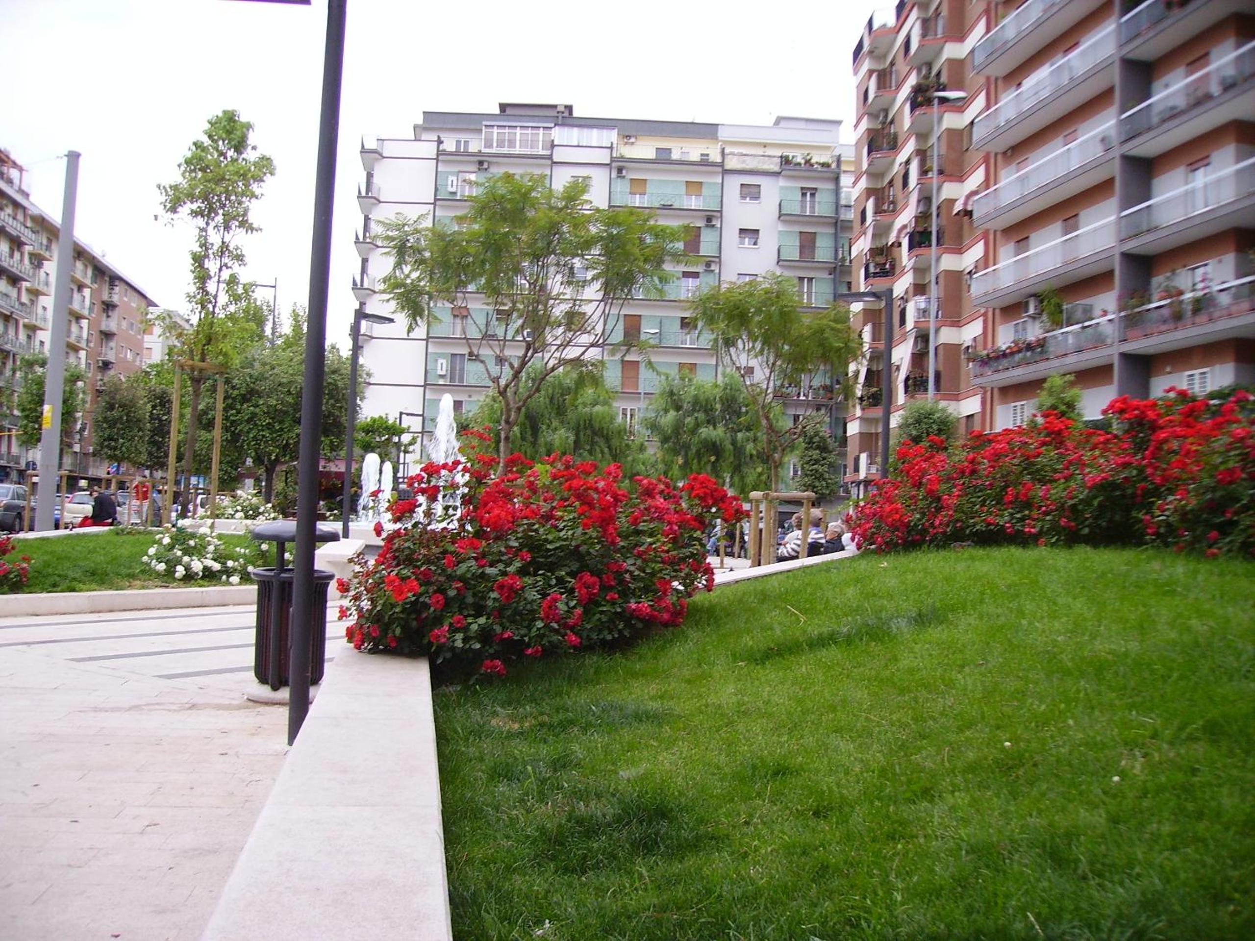 Photo 37