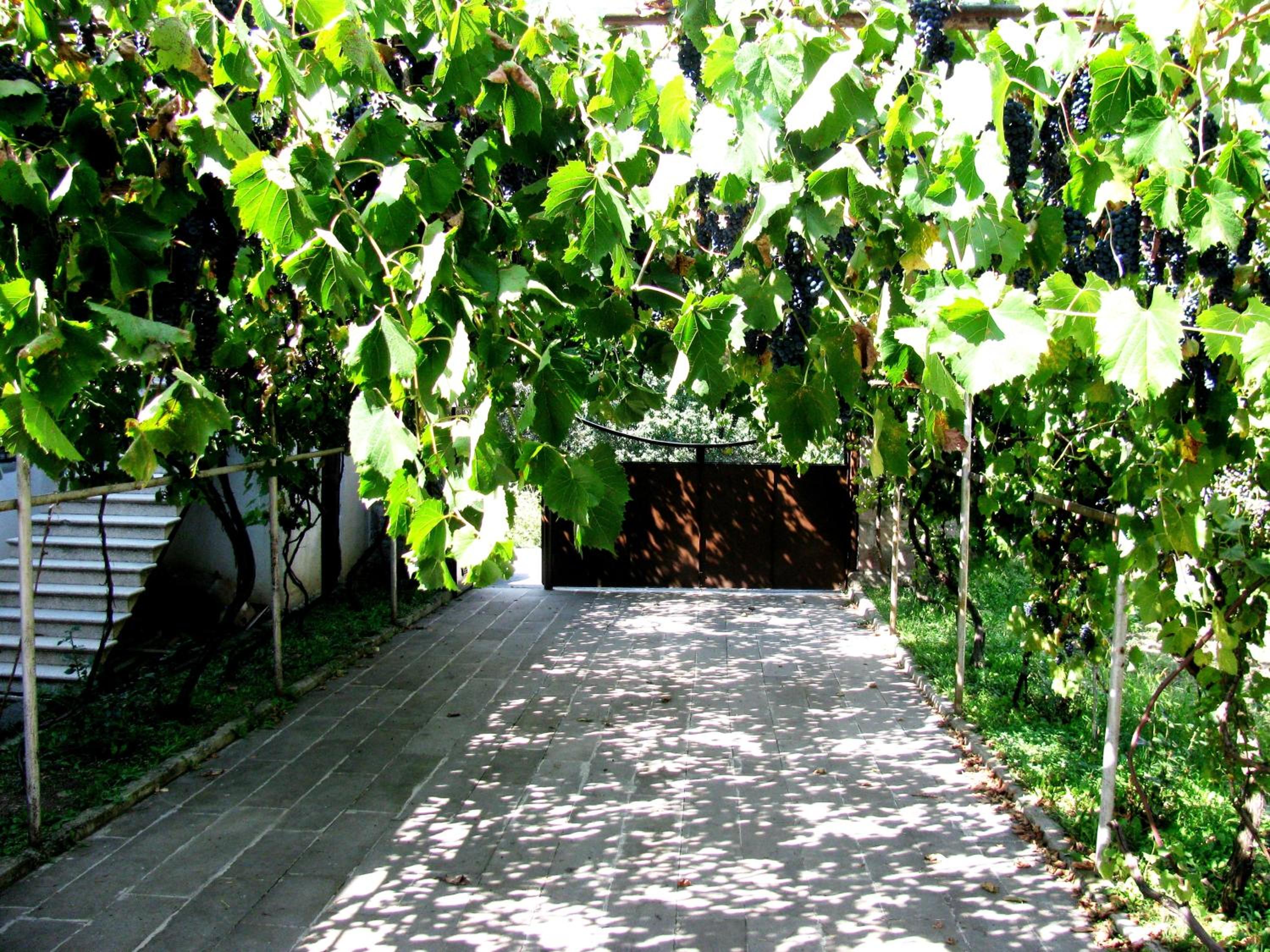 Photo 27