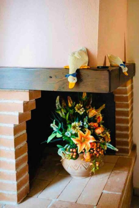 A casa di Claudia view 2