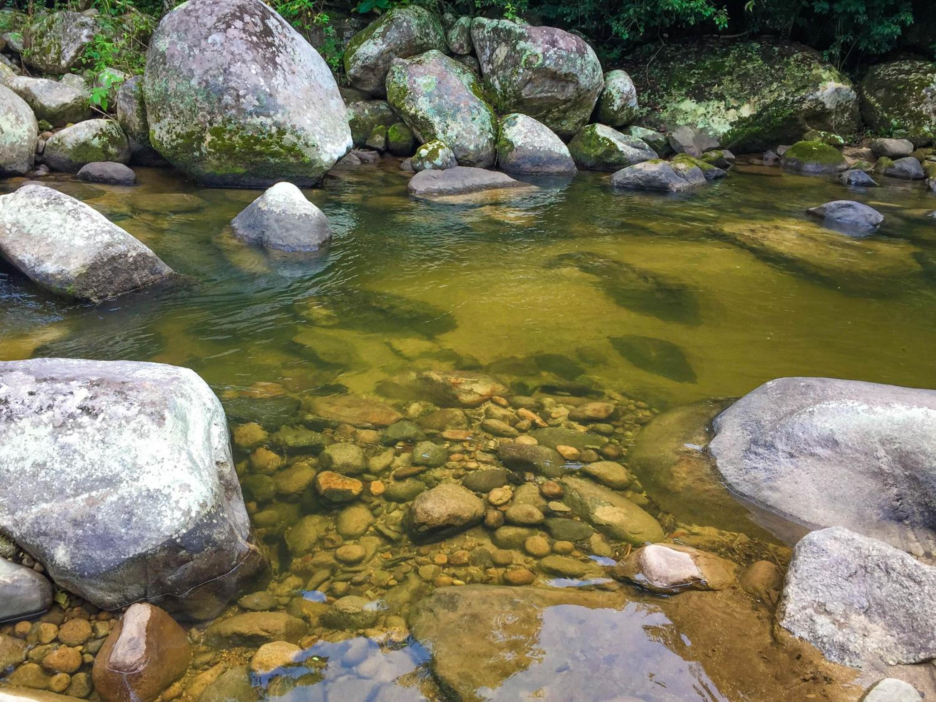 Pousada Canto do Curió Paraty