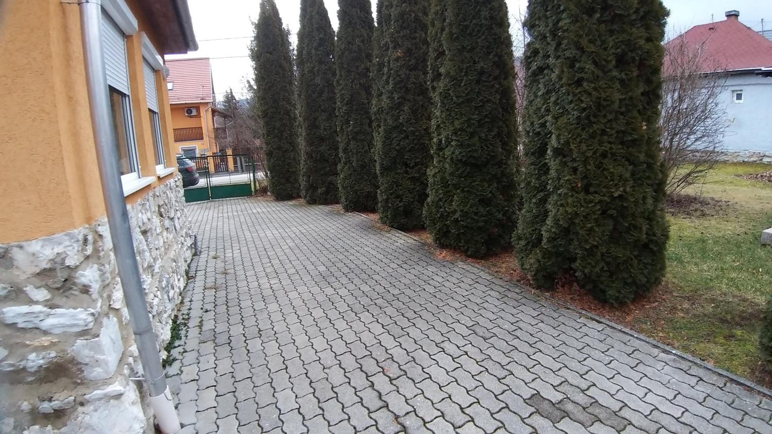 Bellis - Apartmanok