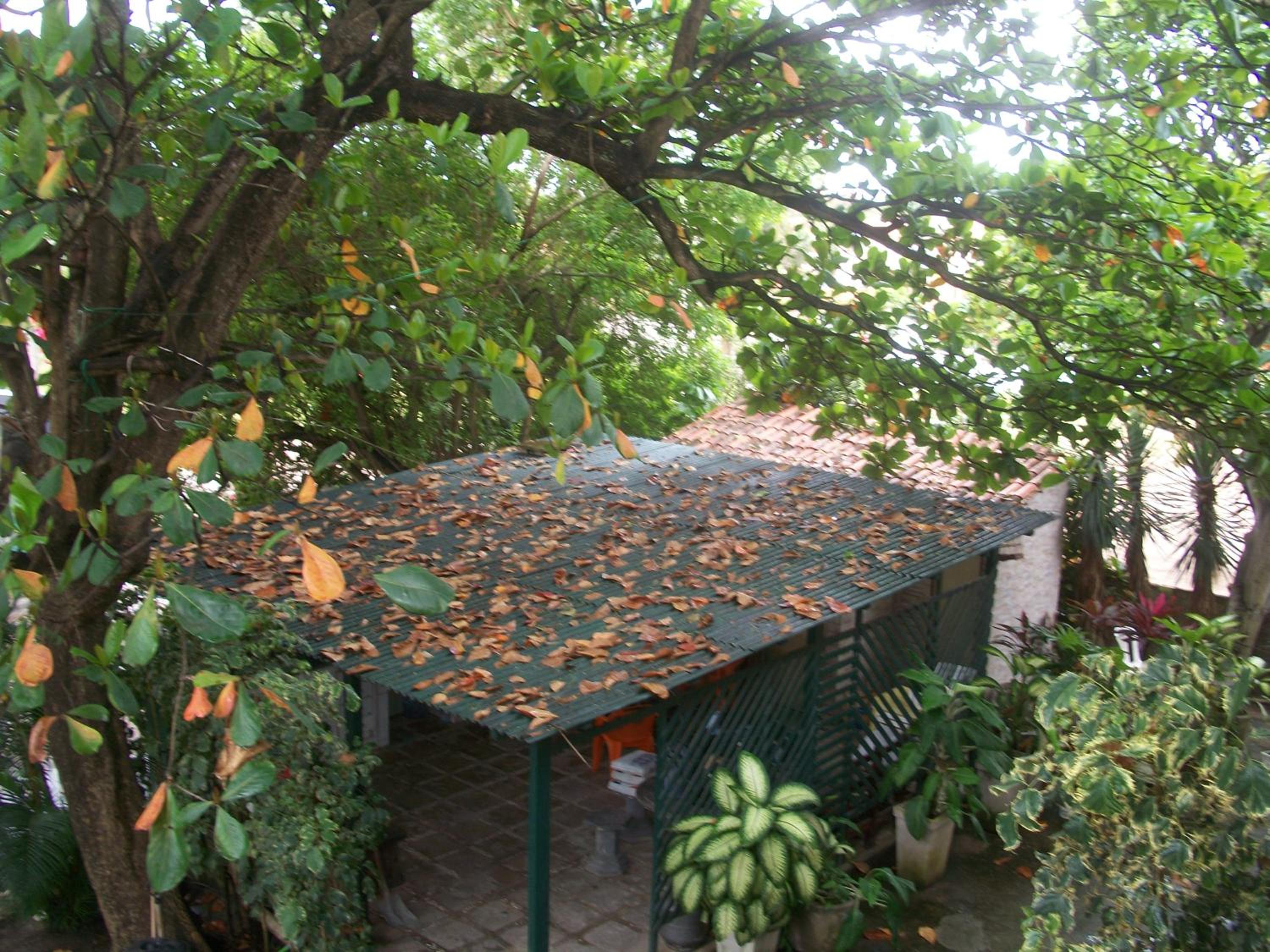 Photo 25