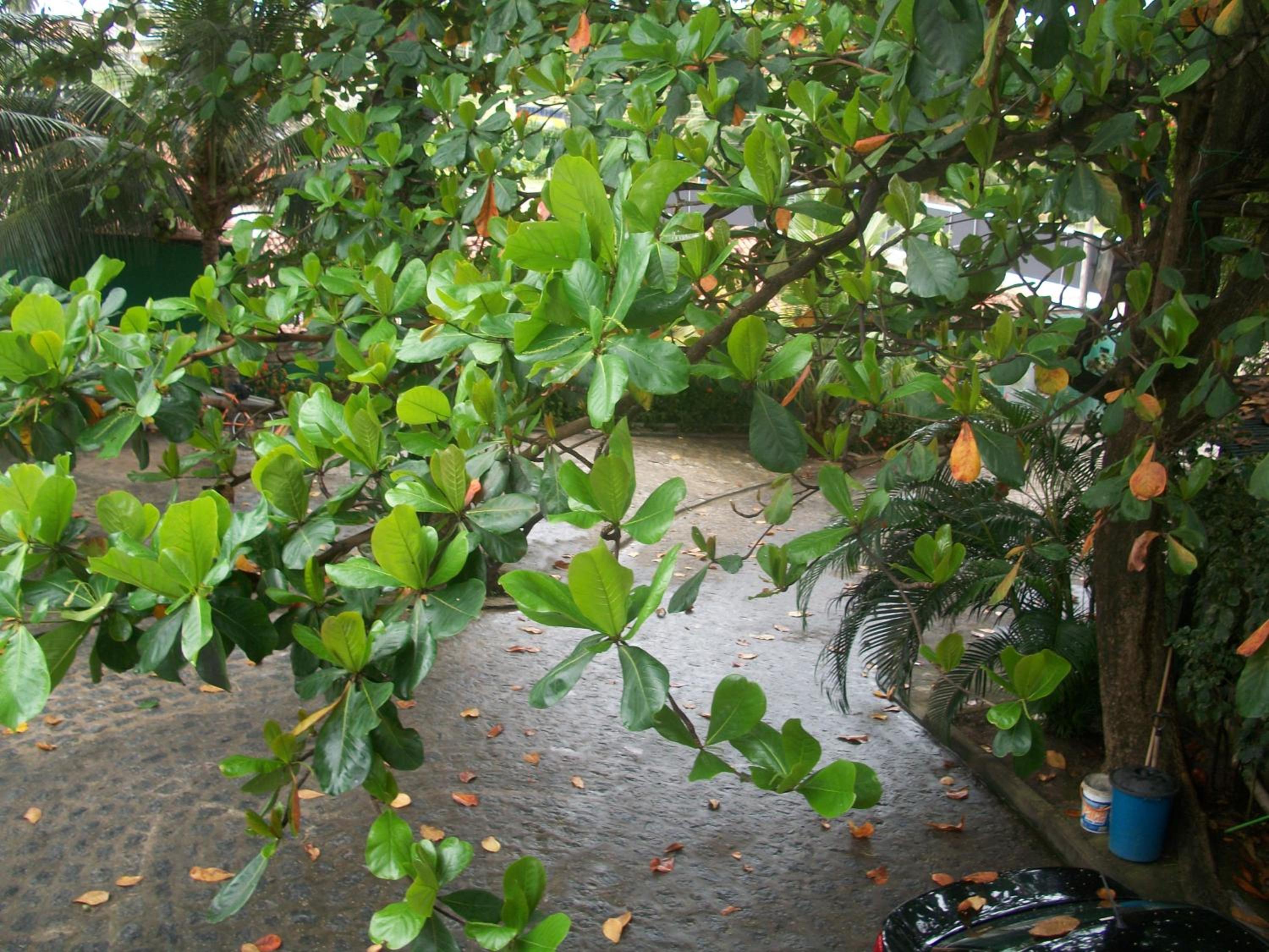 Photo 27