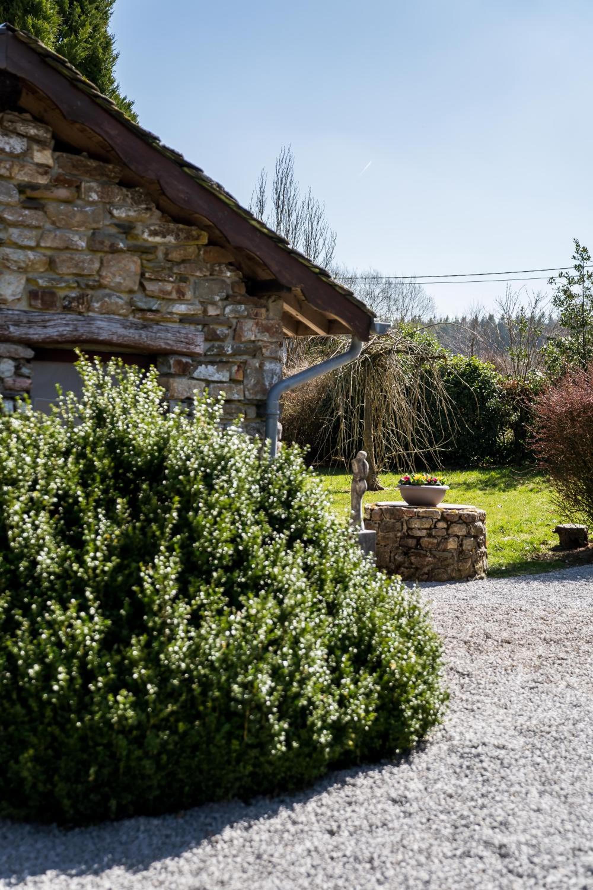 La Fagne Fleurie Les Myrtilles en Les Camomilles