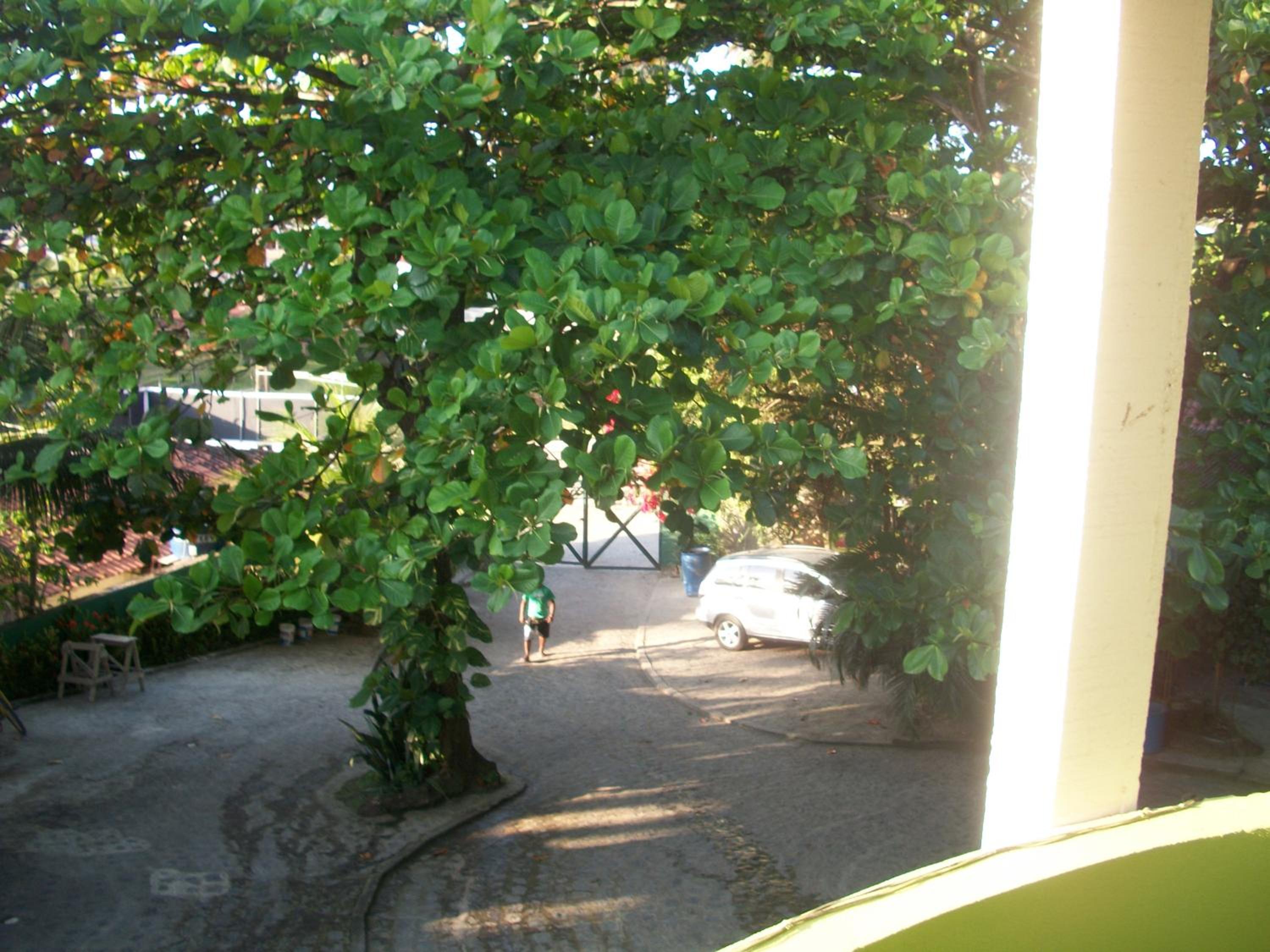 Photo 42