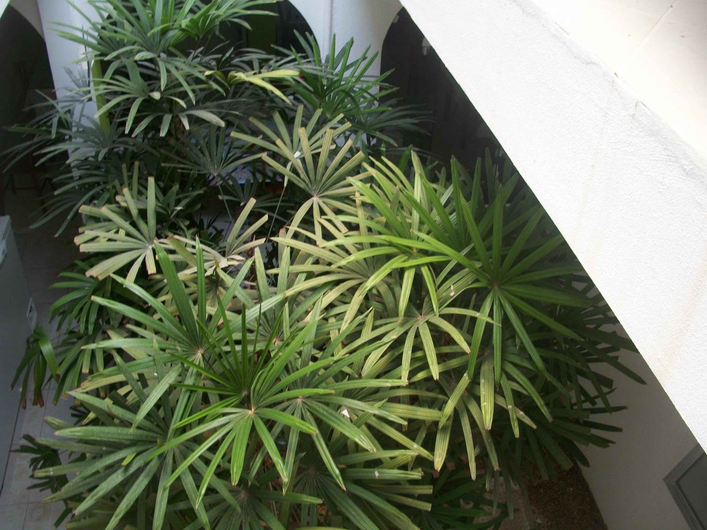 Photo 43