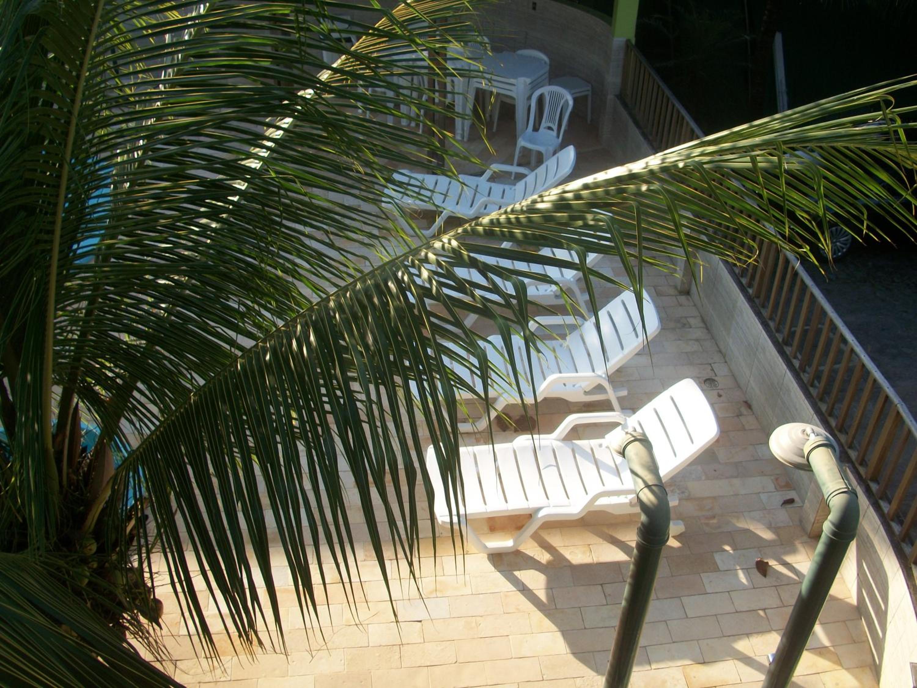 Photo 44