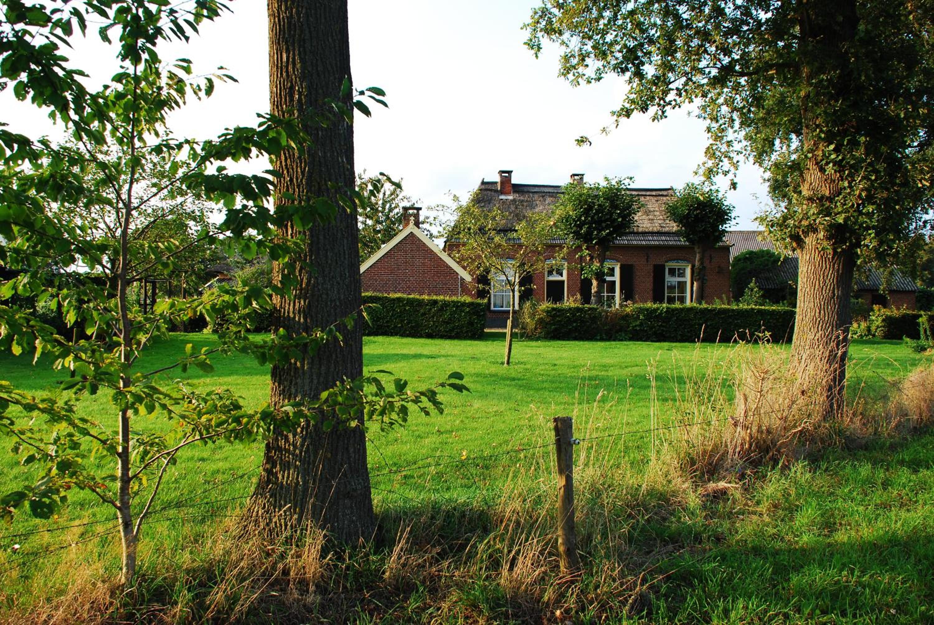 Photo 45