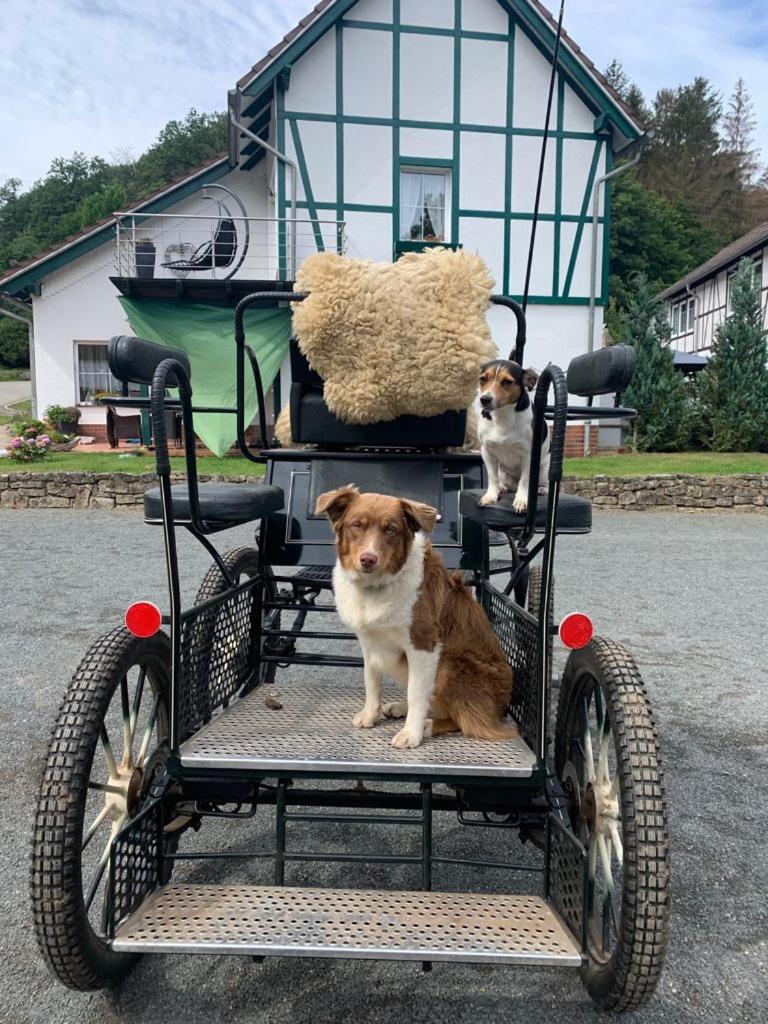 Der perfekte Ausgangspunkt